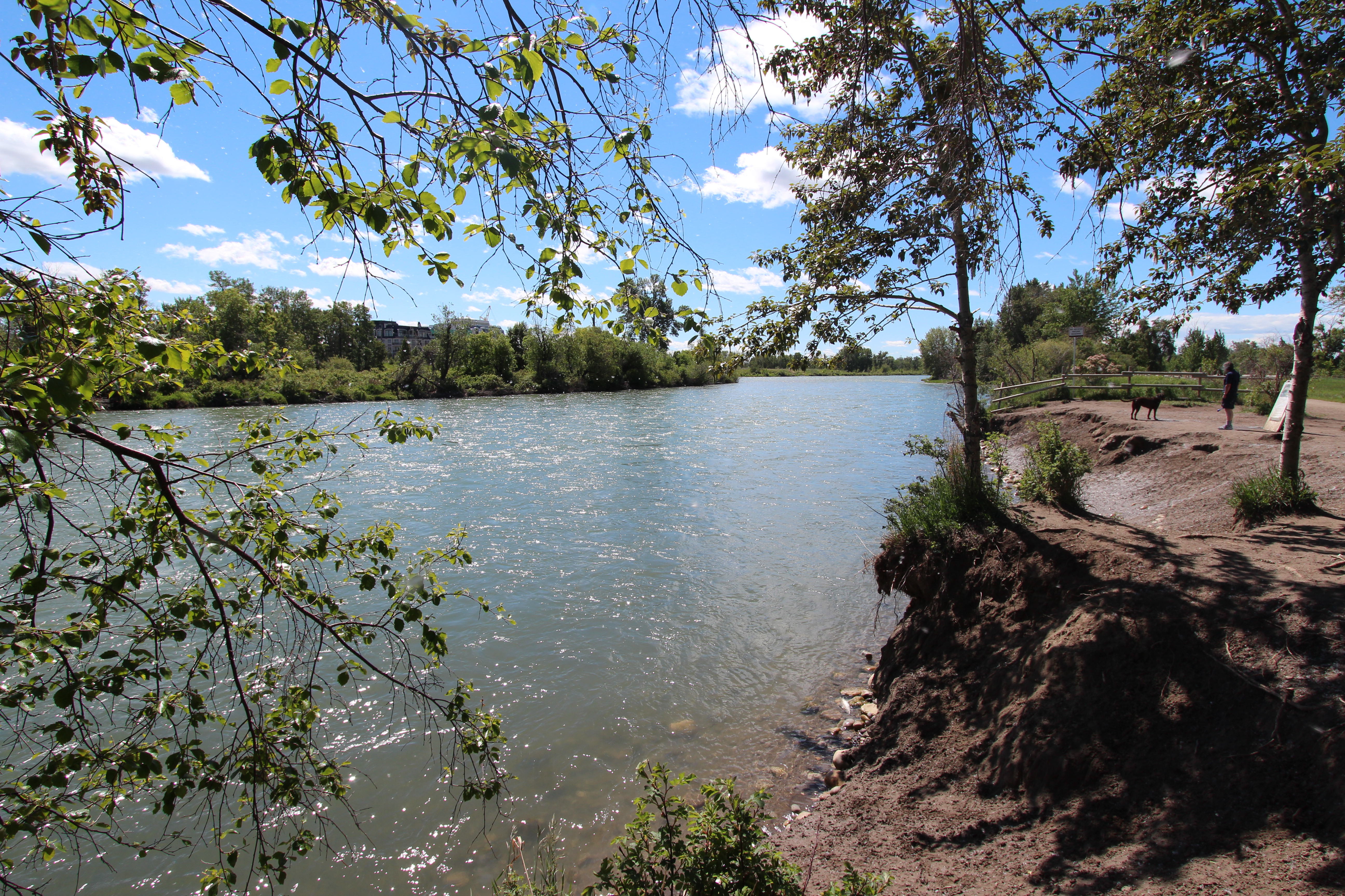 Summer parks worth exploring in Calgary this season
