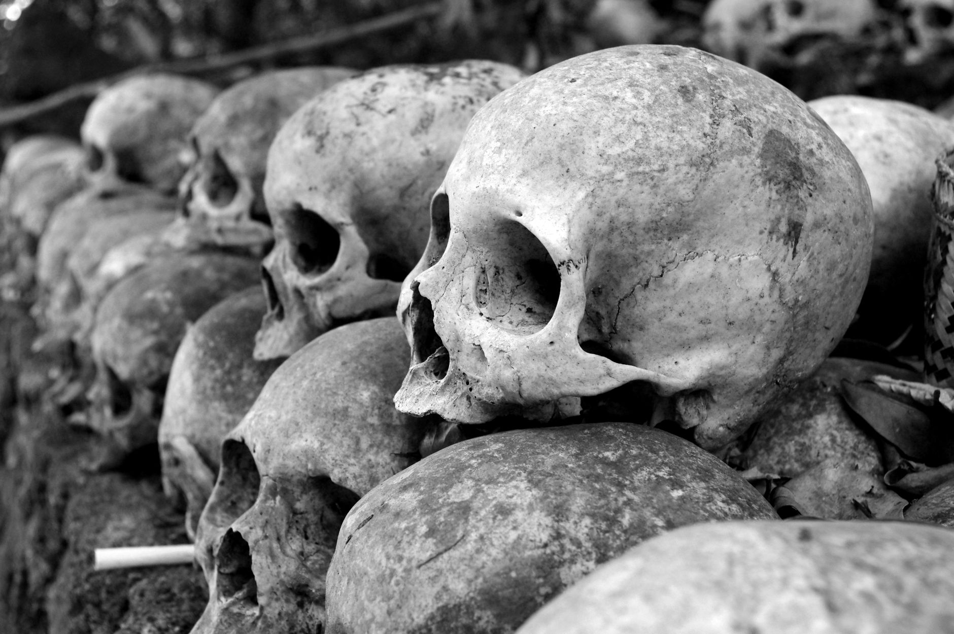 Second set of human remains found on rural property near Smiths Falls