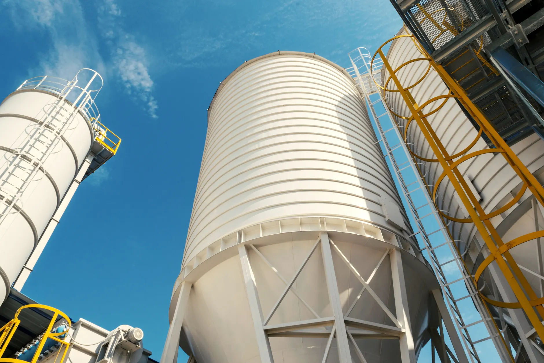 Report details Alberta's 'catastrophic failure' during Cargill COVID-19 outbreak