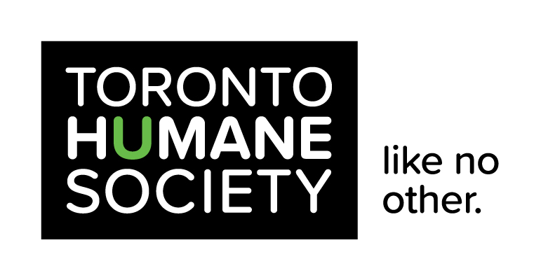 Toronto Humane Society closed after window damage in early-morning vandalism