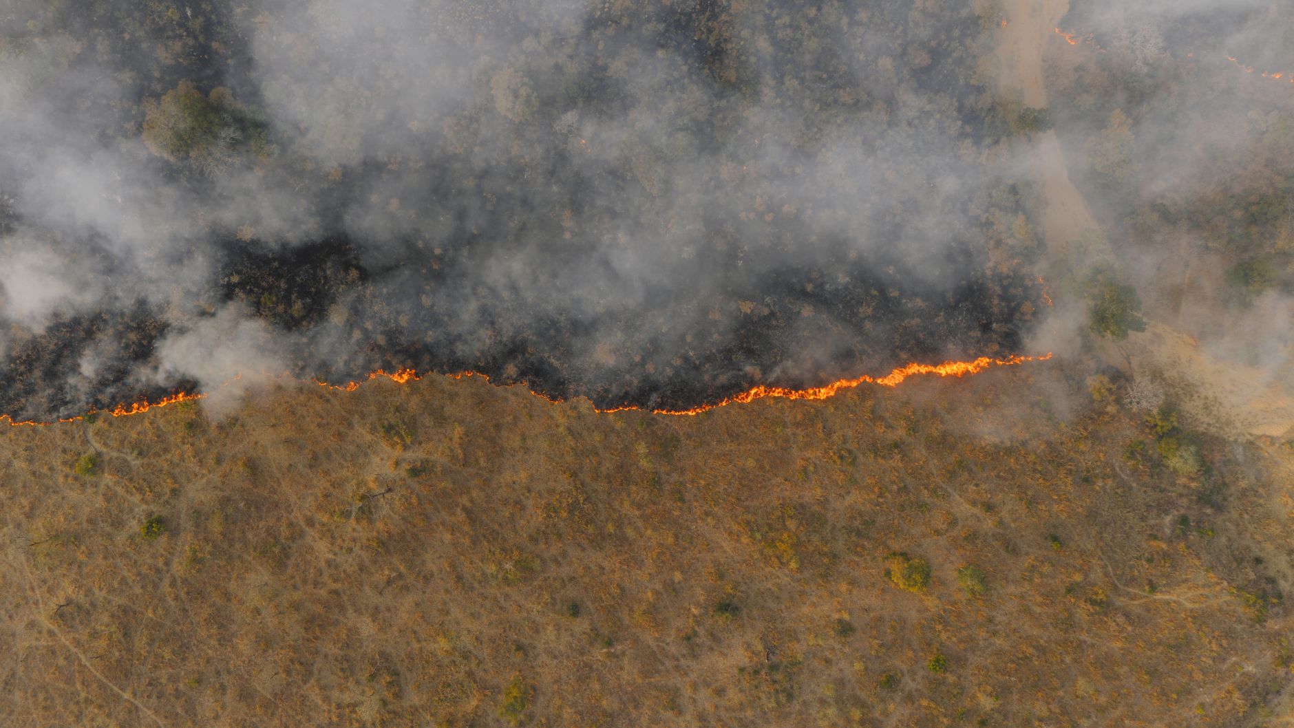 B.C. wildfires force 5,000 evacuations as Bradley Creek fire grows to 26 sq km