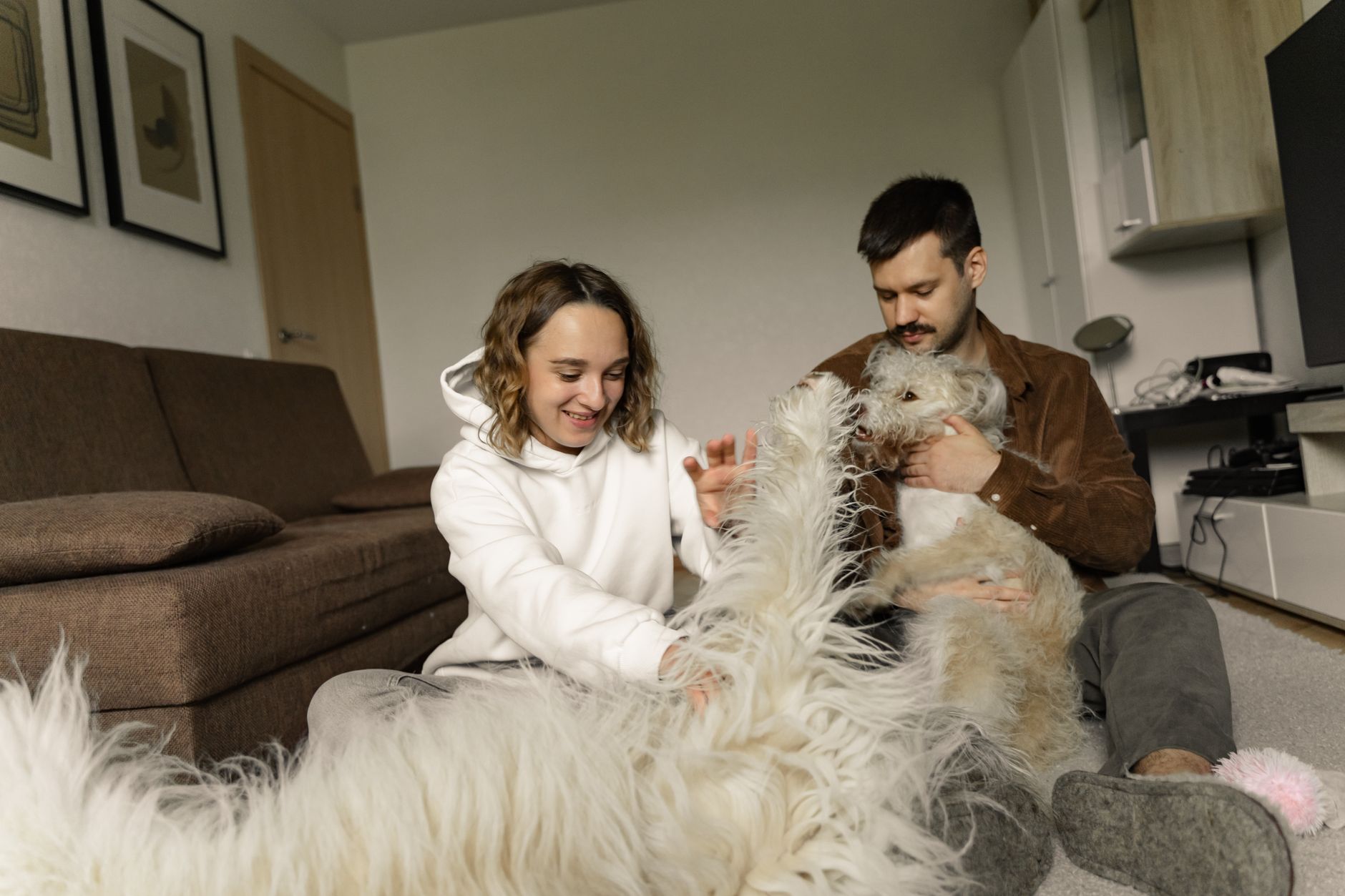 Pet owners squeezed as Calgary rentals remain scarce, with only 10 per cent of affordable units allowing animals