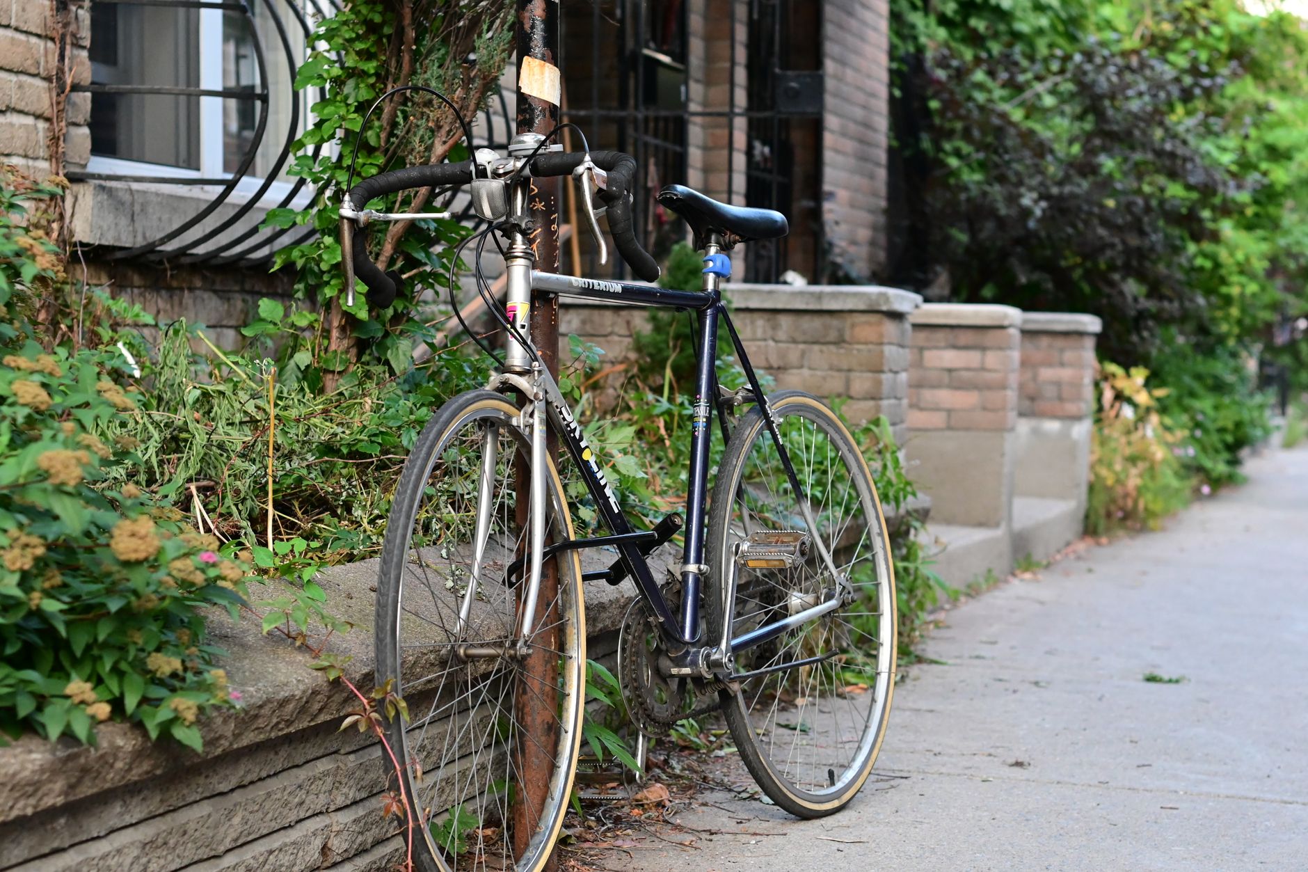 Fourth arrest made in Etobicoke bike lane protests as removal work continues