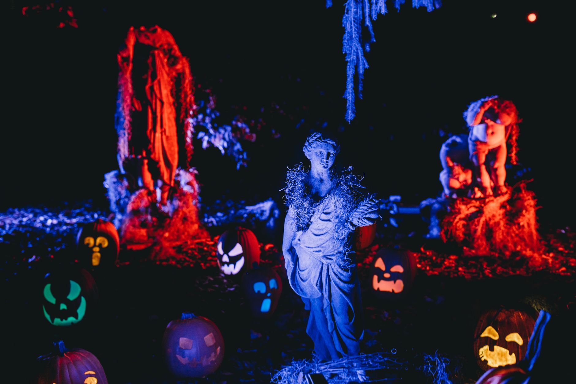 Halloween Haunt returns to Canada's Wonderland for its 20th year with new Conjuring attraction