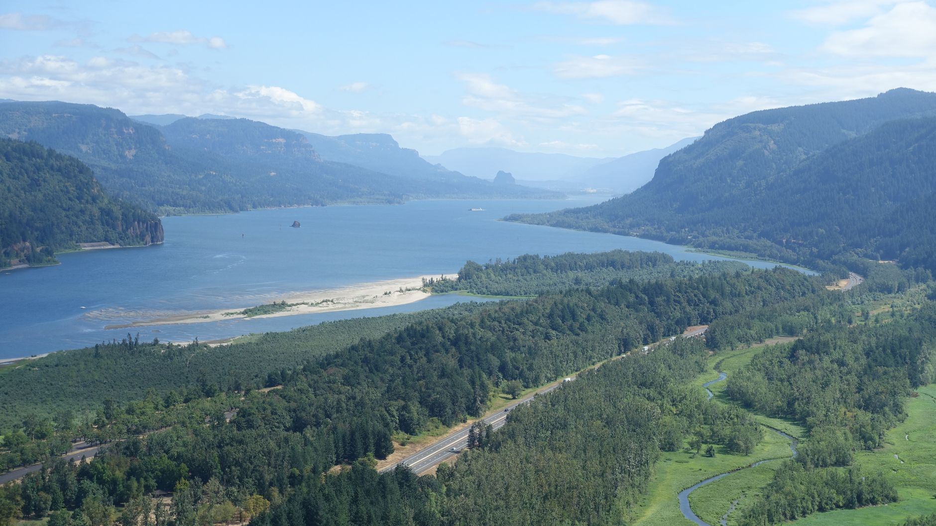 Heat dome reshaped British Columbia's ecosystems five years on