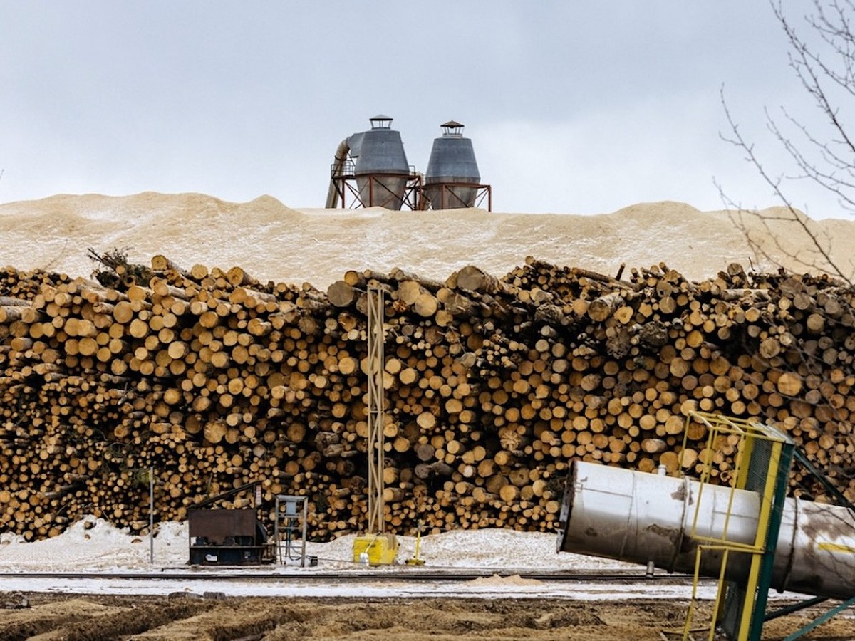 BC's forest subsidies may be accelerating logging, not preventing it