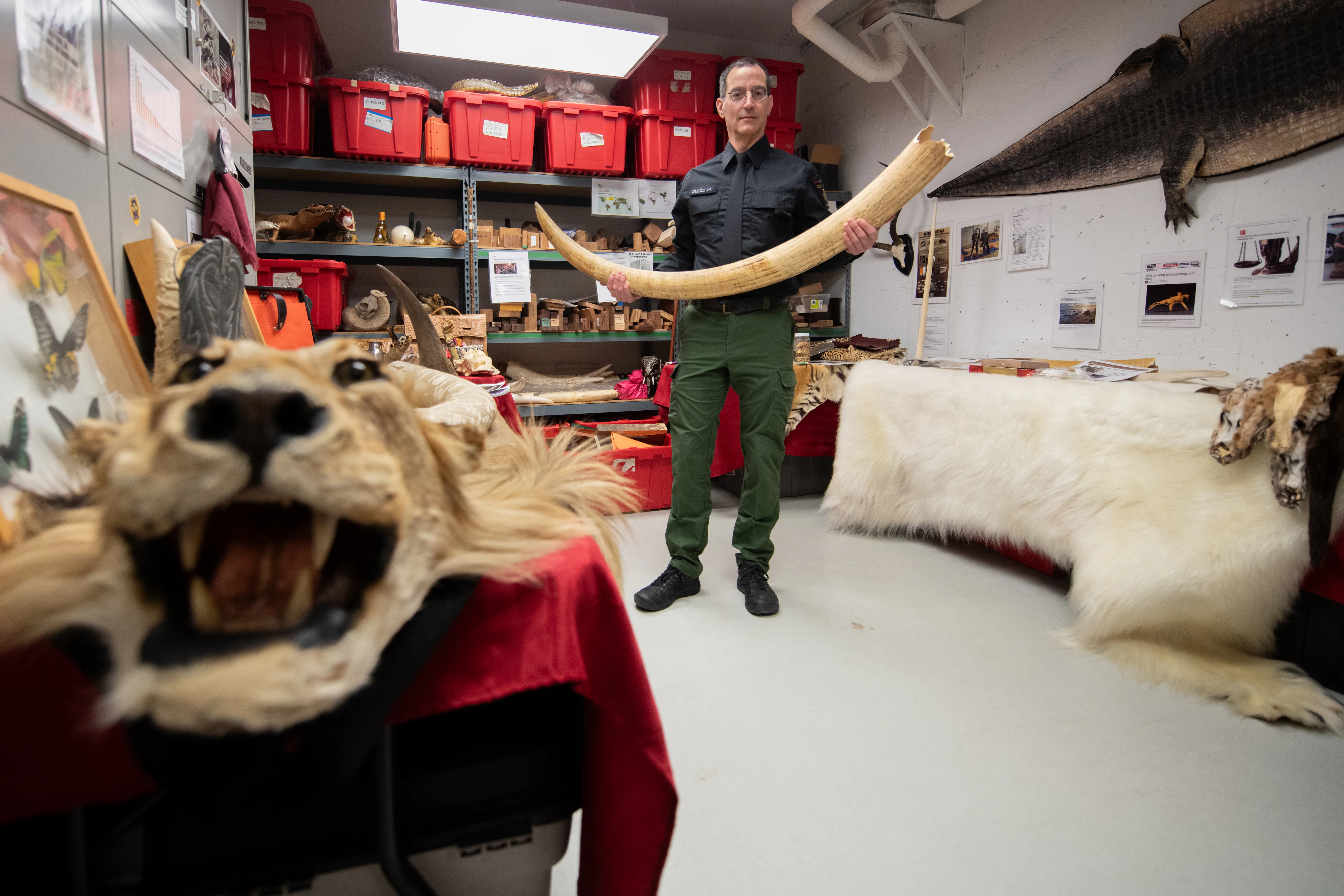 Canada becoming major hub for illegal wildlife trade