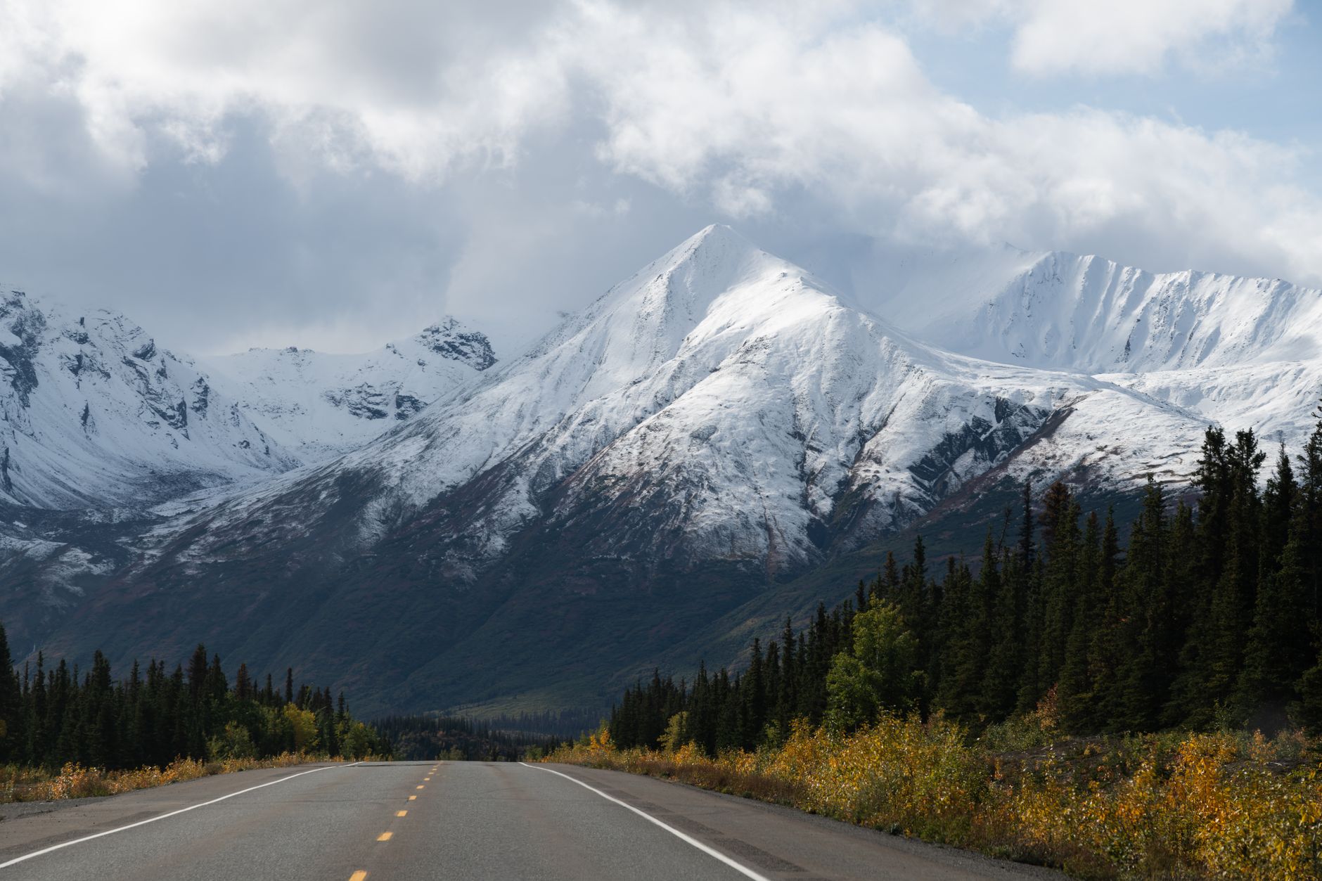 Fuel spills on Alaska Highway threaten thinhorn sheep and wildlife in northeastern B.C.