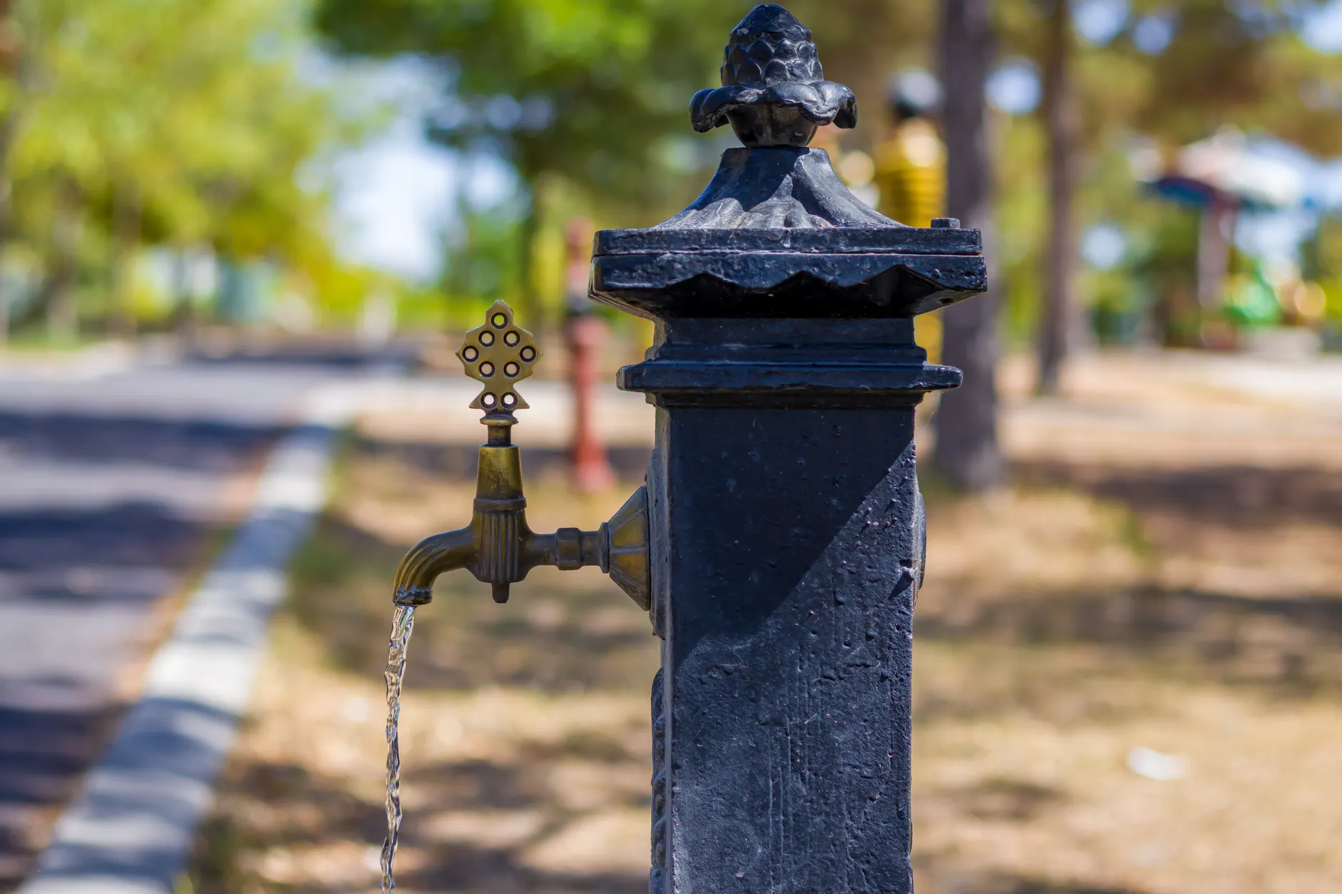 OCDSB trustee candidates call for safer drinking water in schools