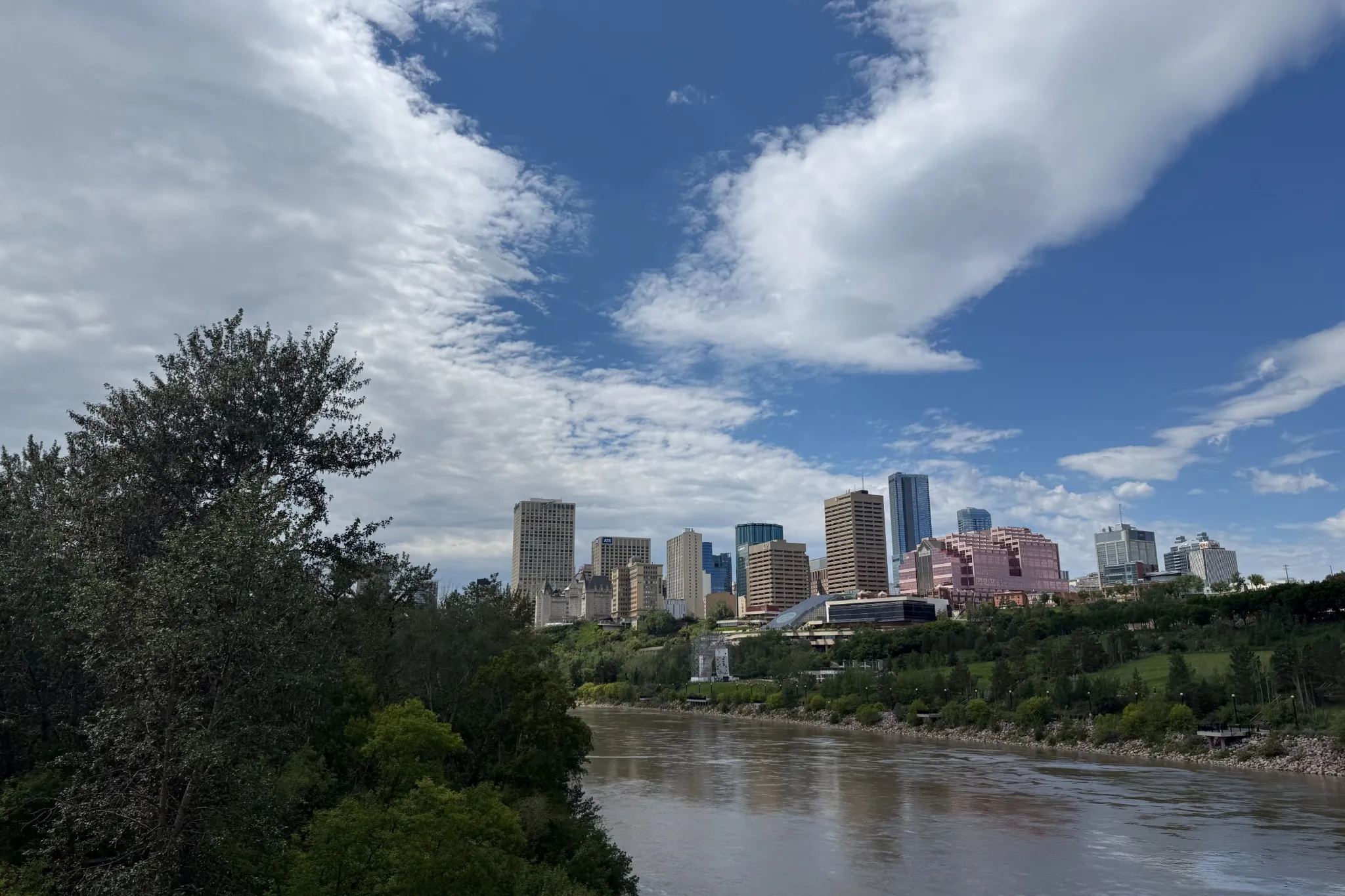 Giant knotweed invasive plant confirmed in Edmonton for the first time