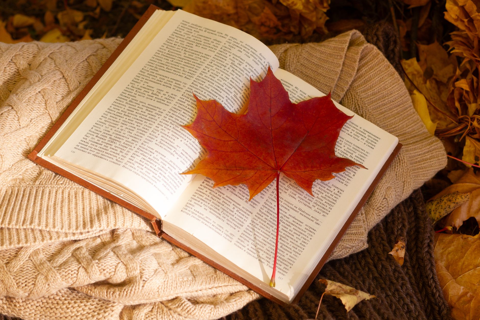 Quebec's fall literary season features Eric Dupont's debut autobiography and foreign novels