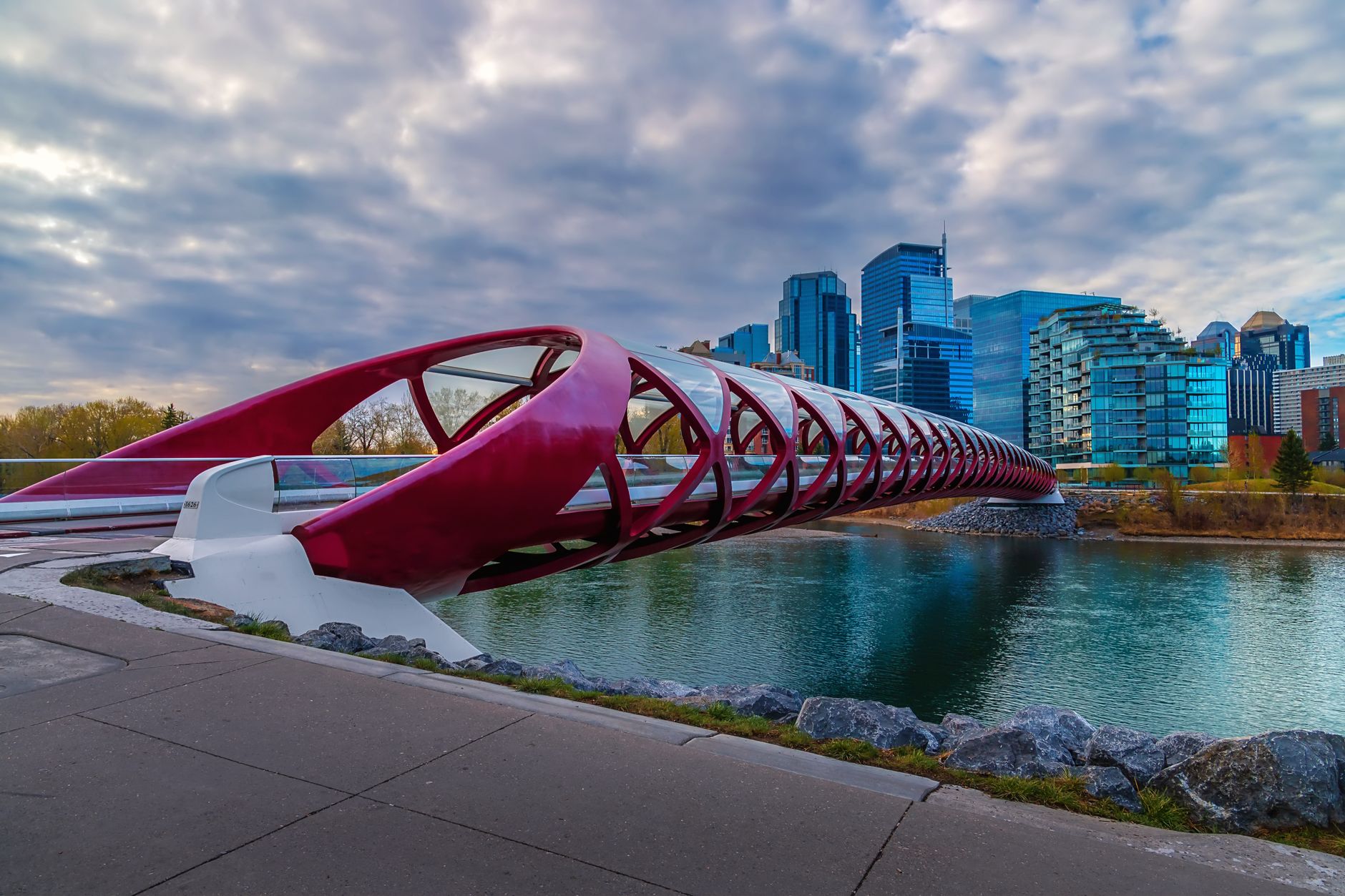 Calgary's 2025 Mayor for a Day pursuing medical school while advising federal bodies on youth policy