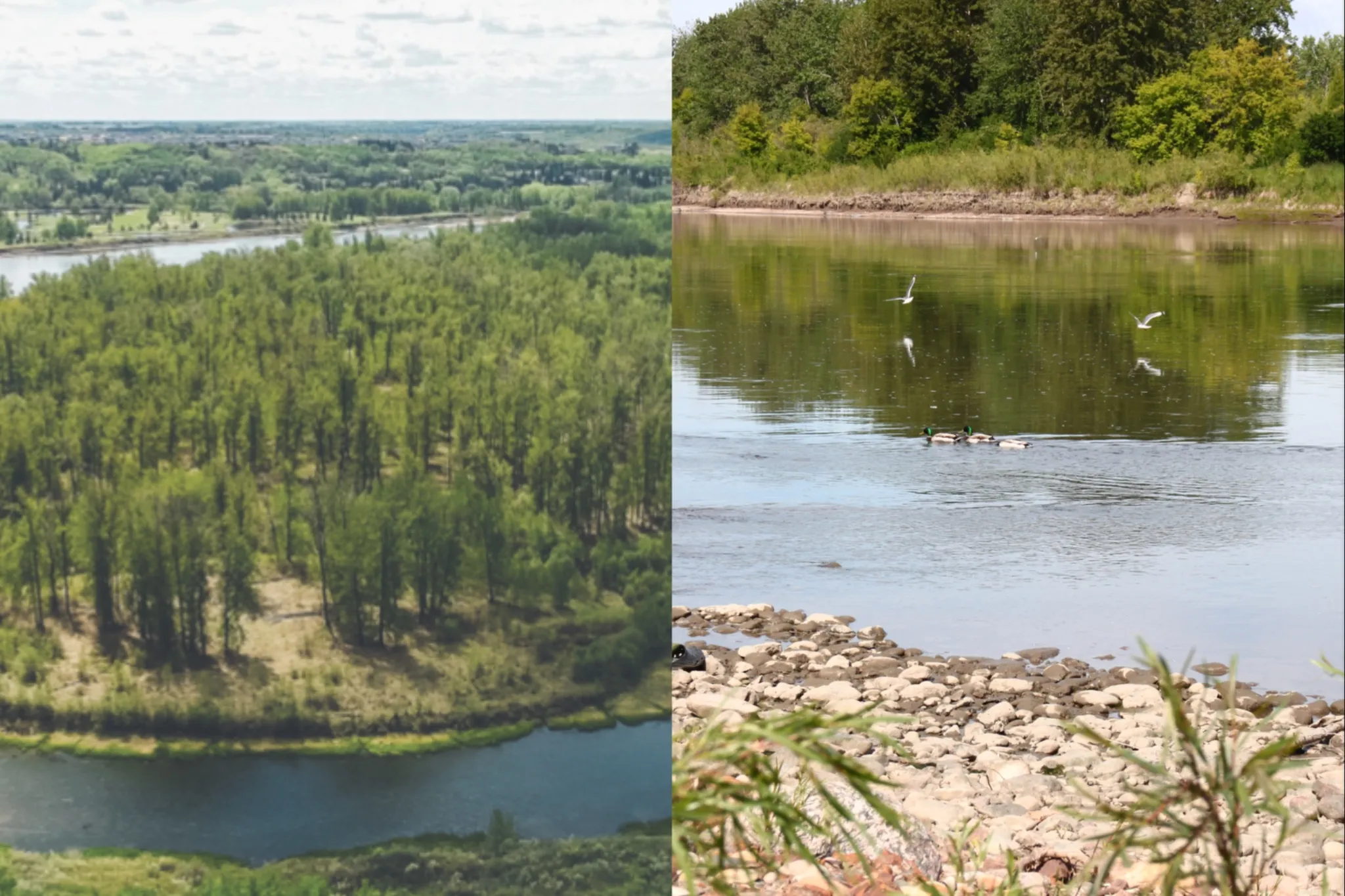 Big Island Provincial Park: Edmonton's remote river escape
