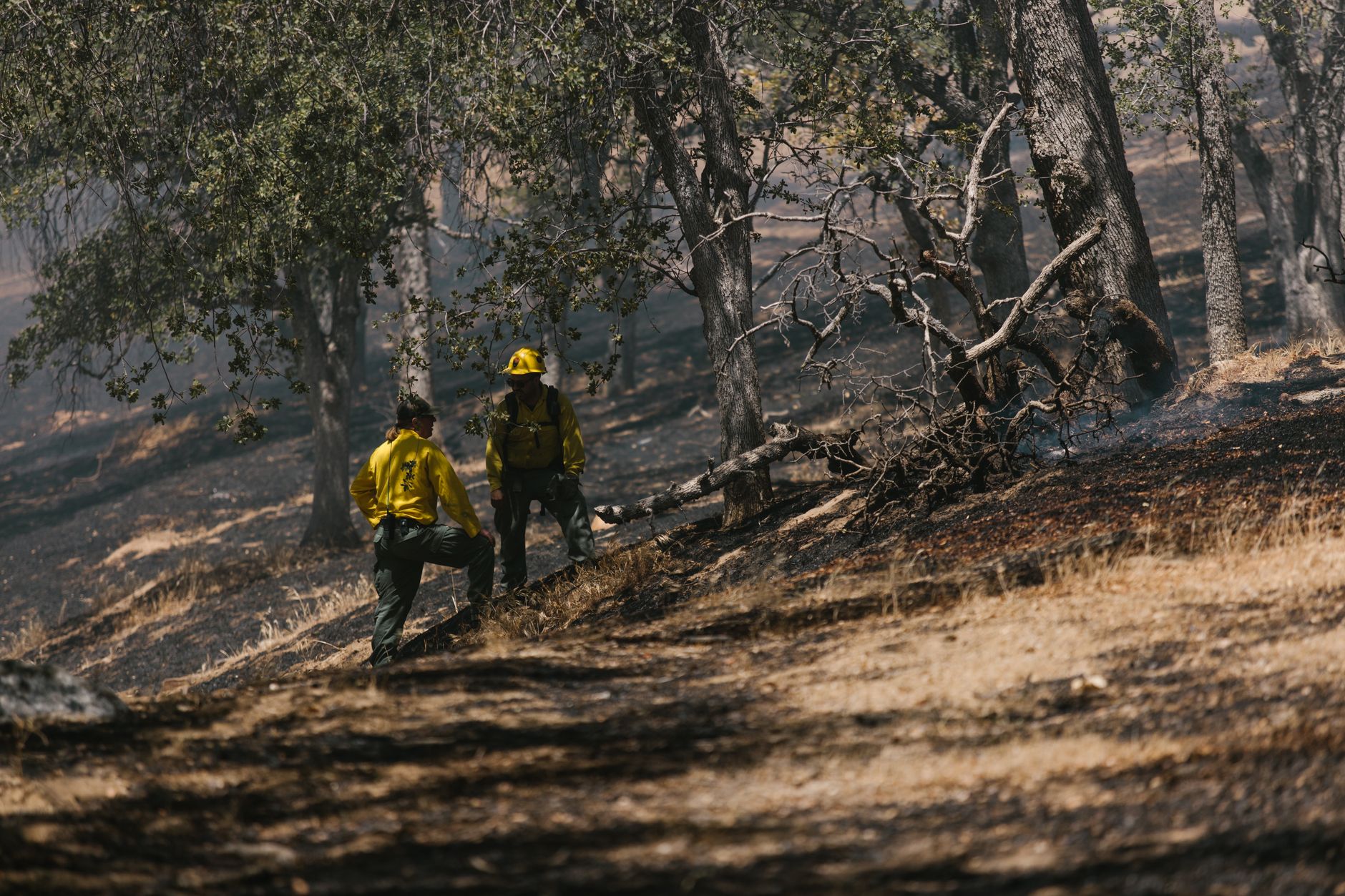 Ontario wildfires burn record area as crews extinguish dozens and evacuate 14 communities
