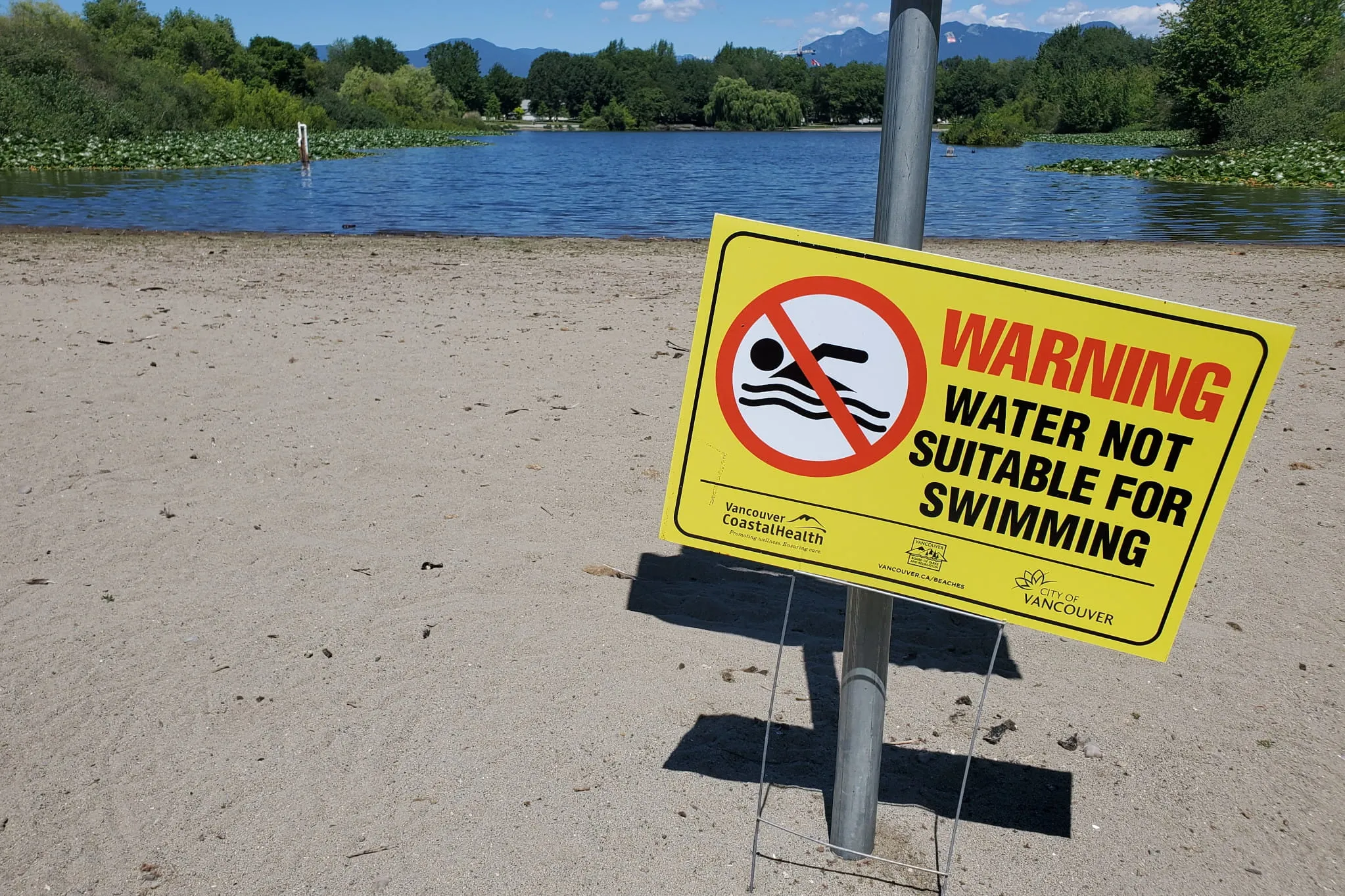 Five Vancouver beaches closed to swimmers over E. coli spike