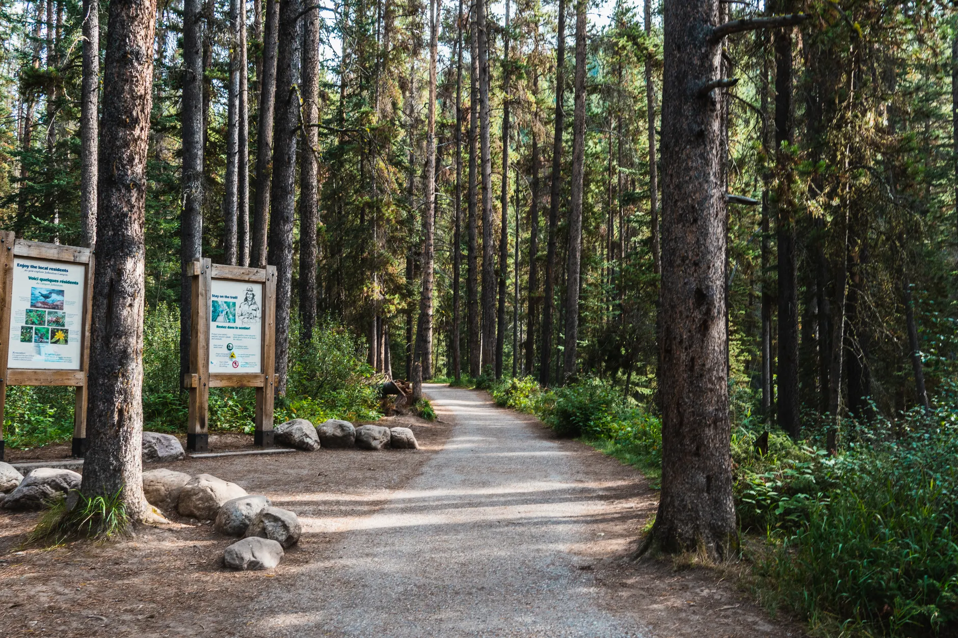 High schooler's tree-tracking app wins $100K scholarship