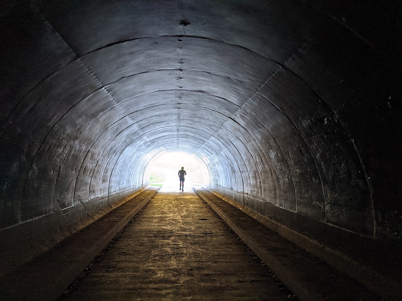 East Don Trail Phase 1 opens Sunday, closing major gap in Toronto ravine network