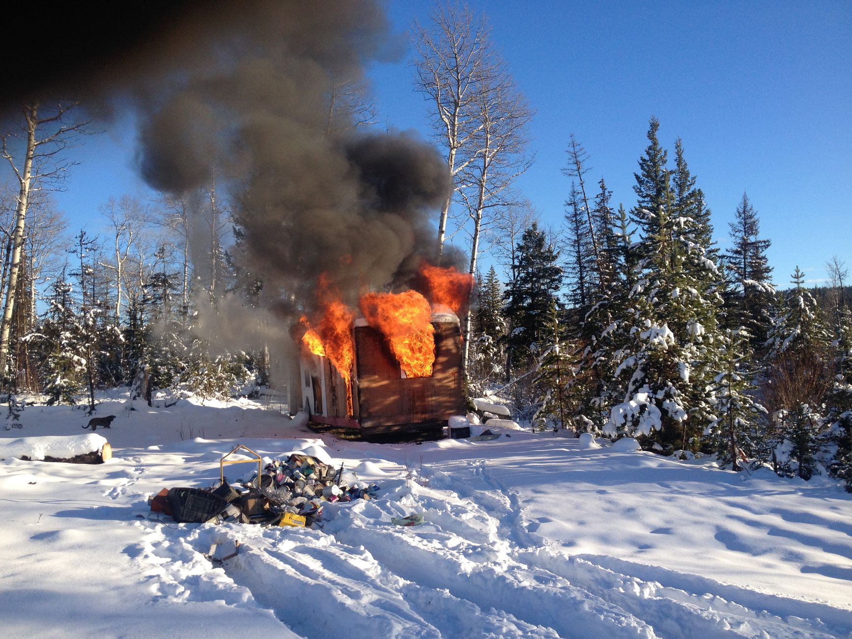 Federal wildfire response centre lost half its staff under budget cuts