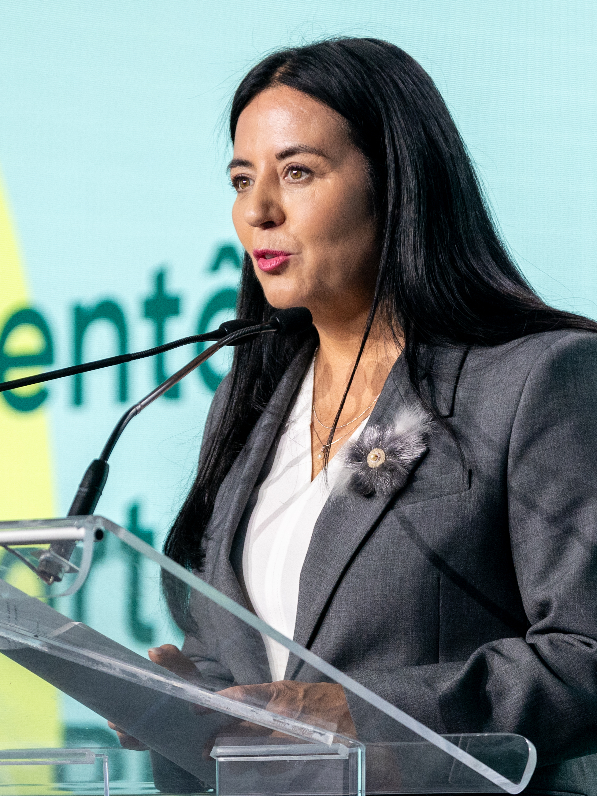 Montreal mayor Soraya Martinez Ferrada marks 1 year in office, gives herself a 7 out of 10