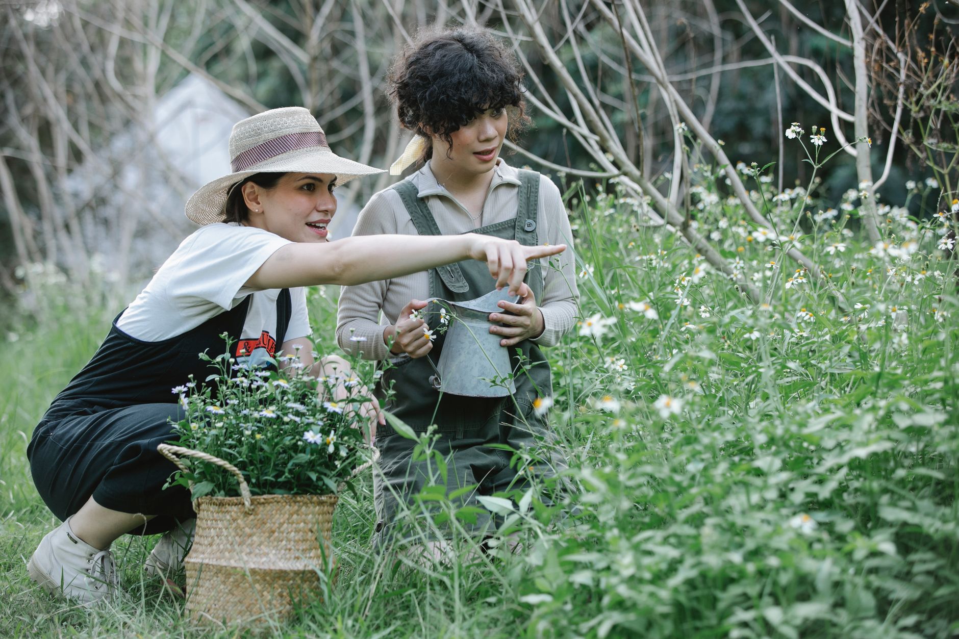 Posy Ferme Florale grows jobs for adults with intellectual disabilities