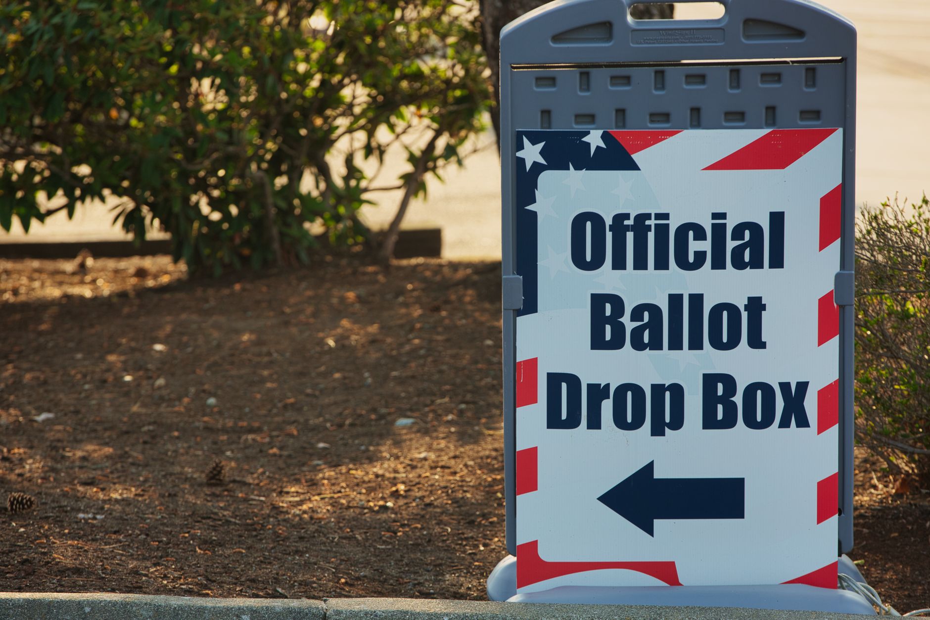 225,000 Albertans apply for mail-in ballots ahead of October 19 referendum