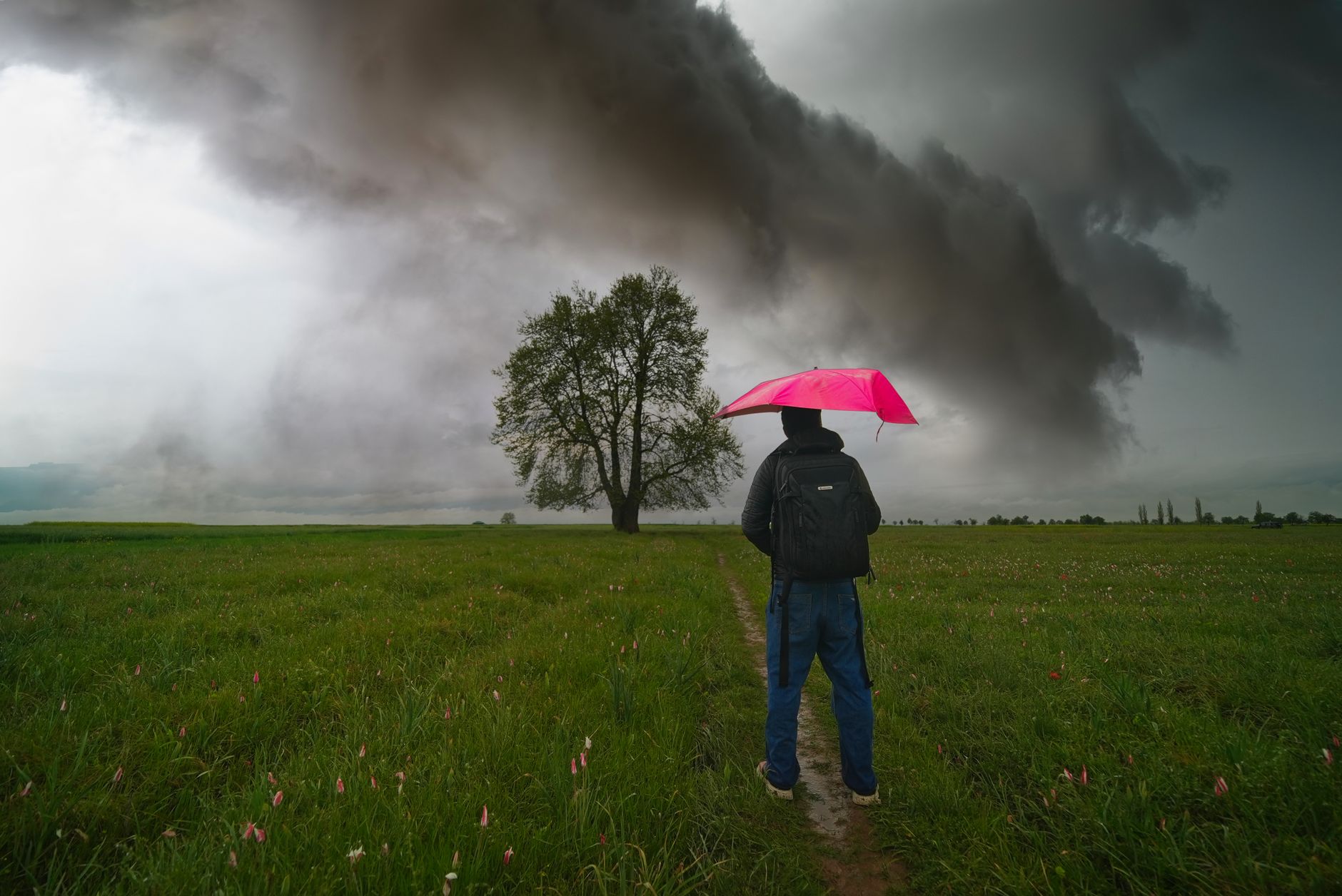Ontario wine country cleans up after back-to-back storms drop quarter of annual rain in a week