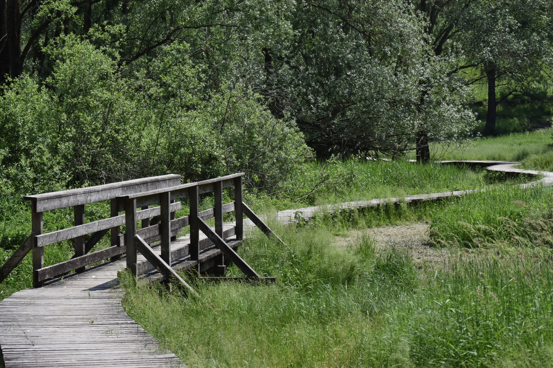 John Janzen Nature Centre reopens after 18-month flood closure