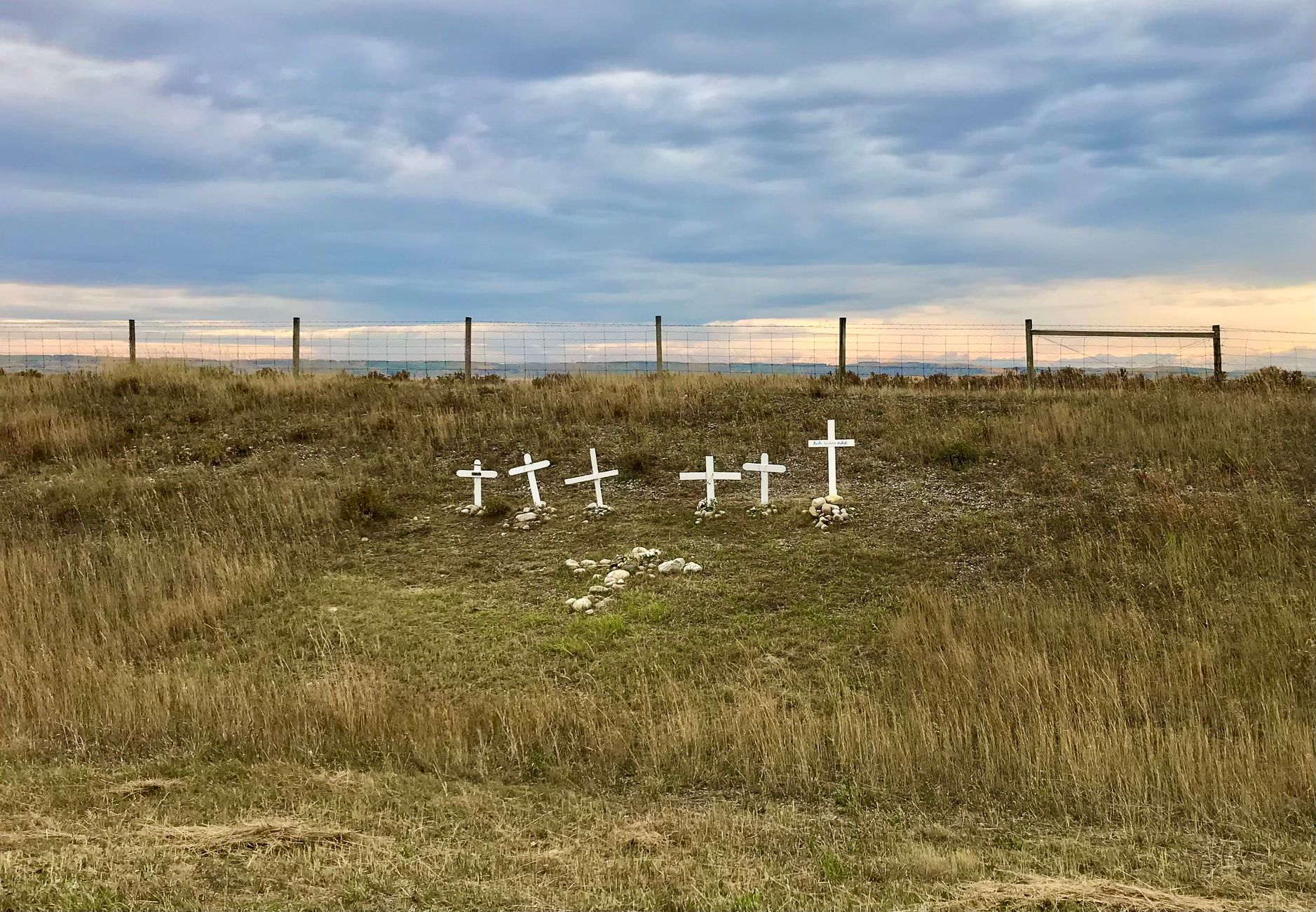 Calgary's Field of Crosses opens Nov. 1 with 3,700+ crosses honoring southern Alberta's fallen