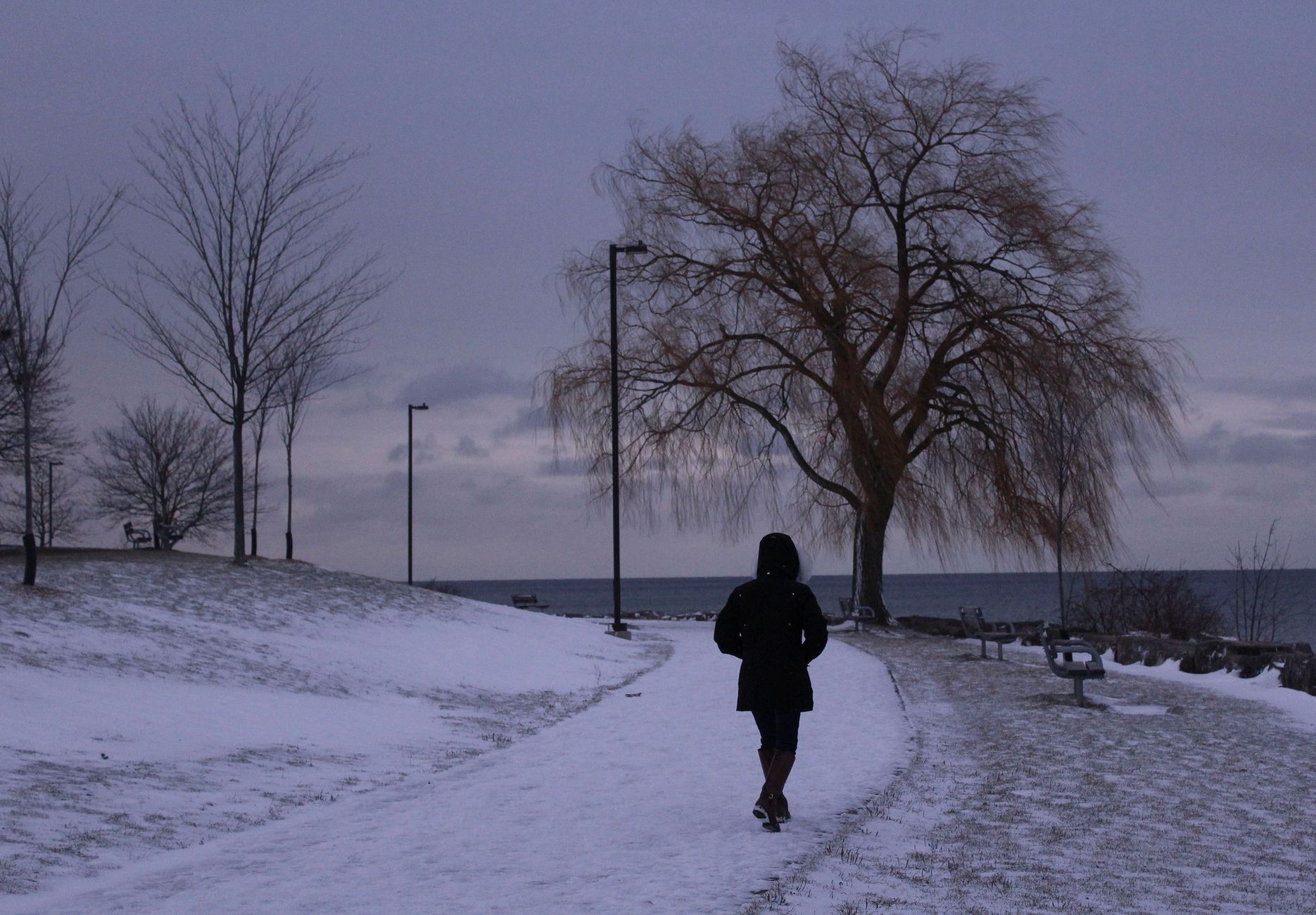 North York Women's Shelter turns away 132 survivors as demand outpaces funding and capacity