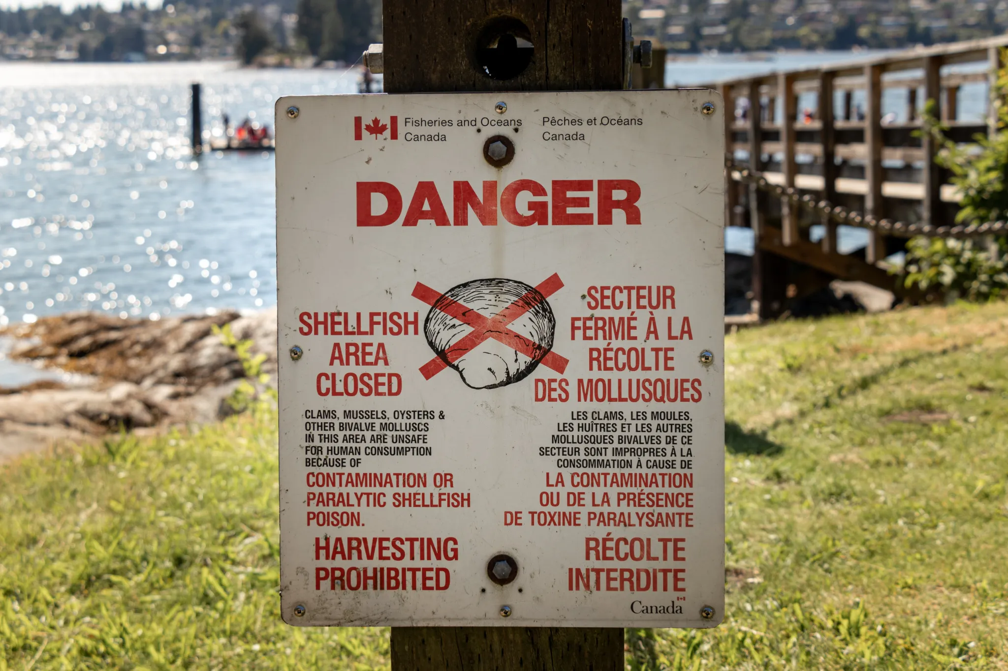 B.C. health officials warn shellfish consumers about summer toxins