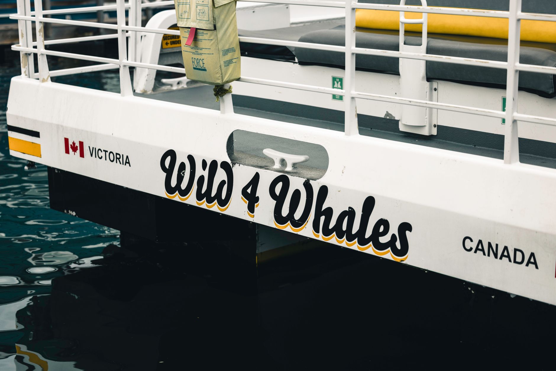 Victoria whale watching company helps rescue tangled humpback calf