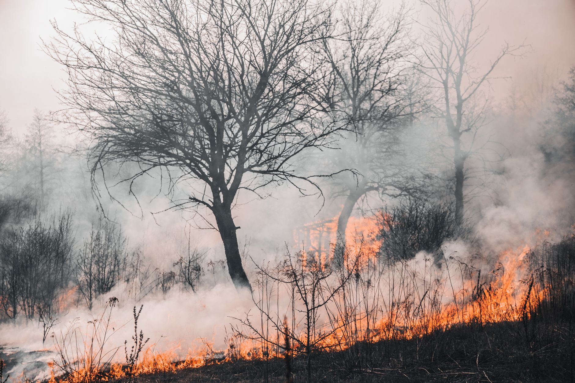 Edmonton's wildfire prevention drones and AI tools earn national recognition from fire chiefs