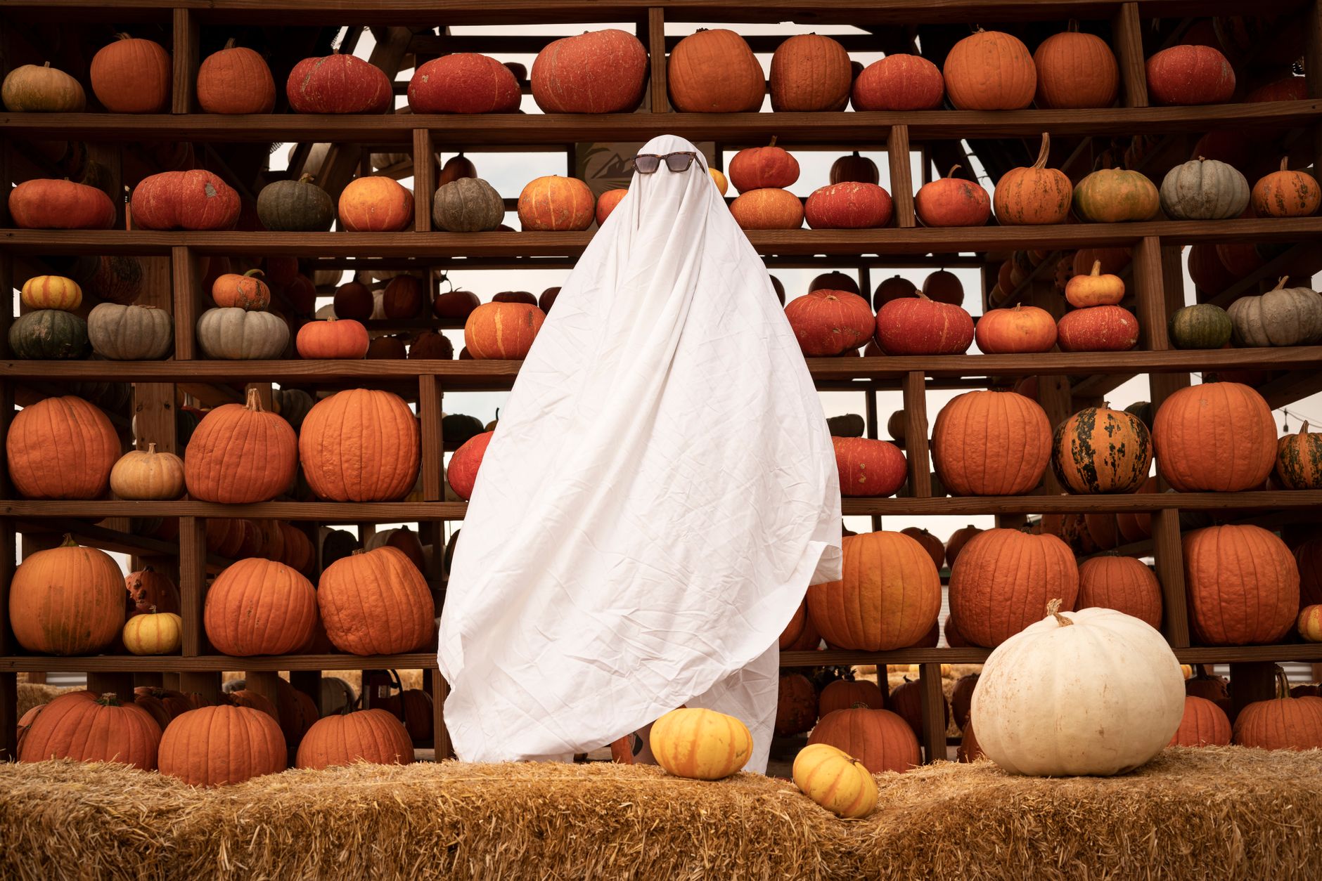 Okotoks family's over-the-top Halloween display built on nostalgia and thrifting