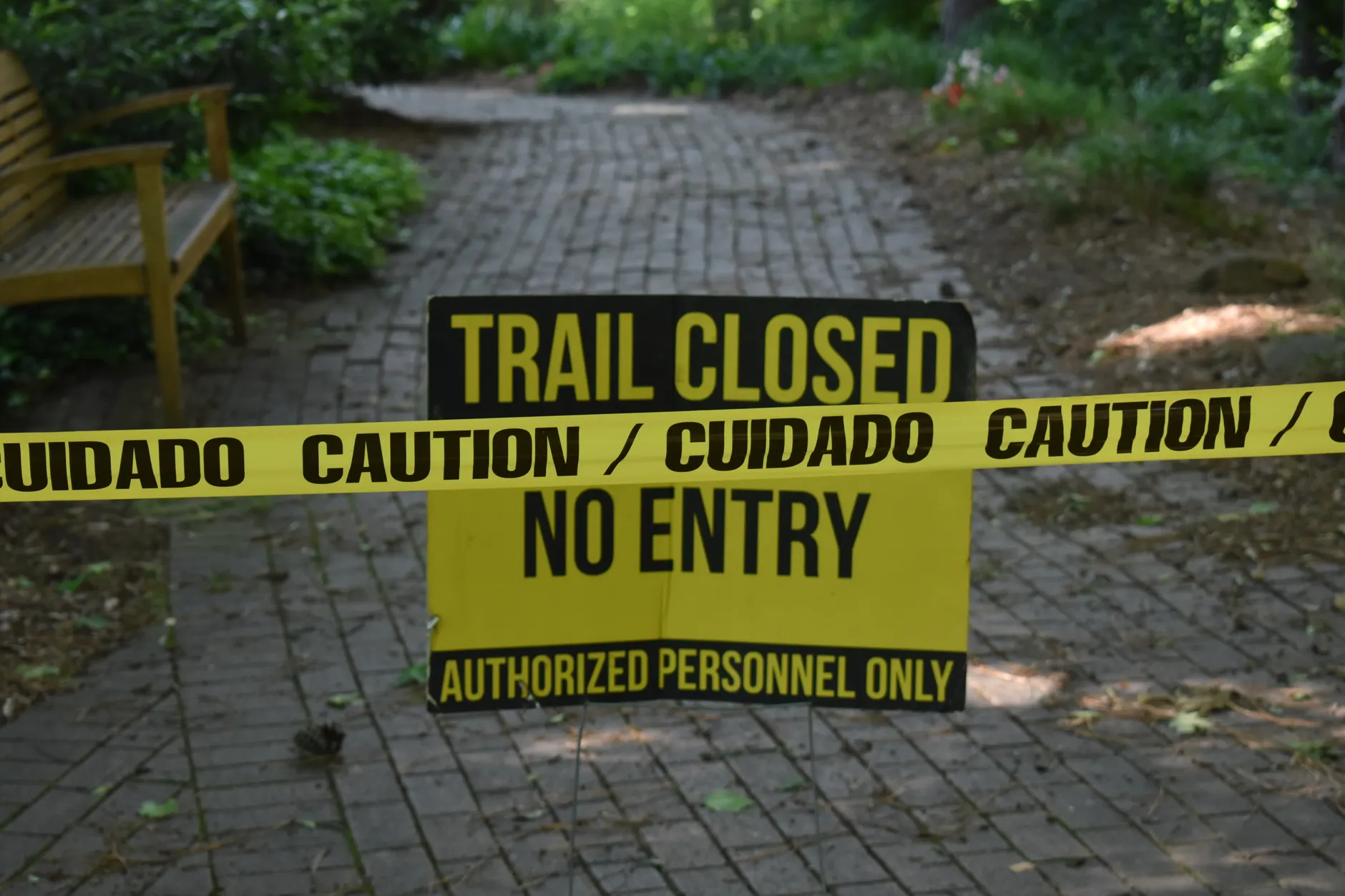 Lalande Park closed after coyote attacks boy