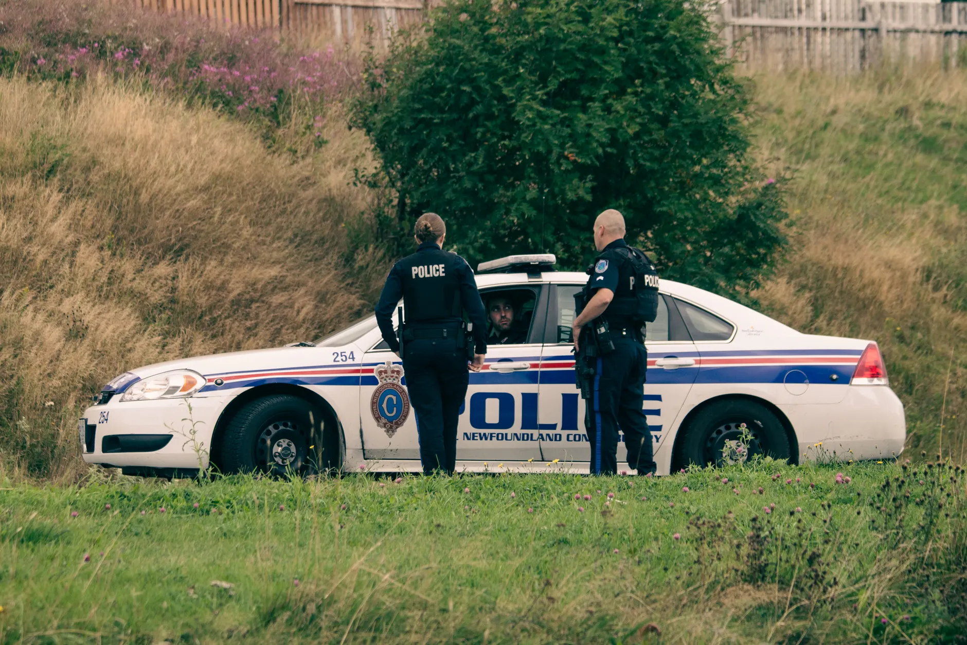 B.C. arrest with less-lethal weapons and police dog sparks IIO investigation