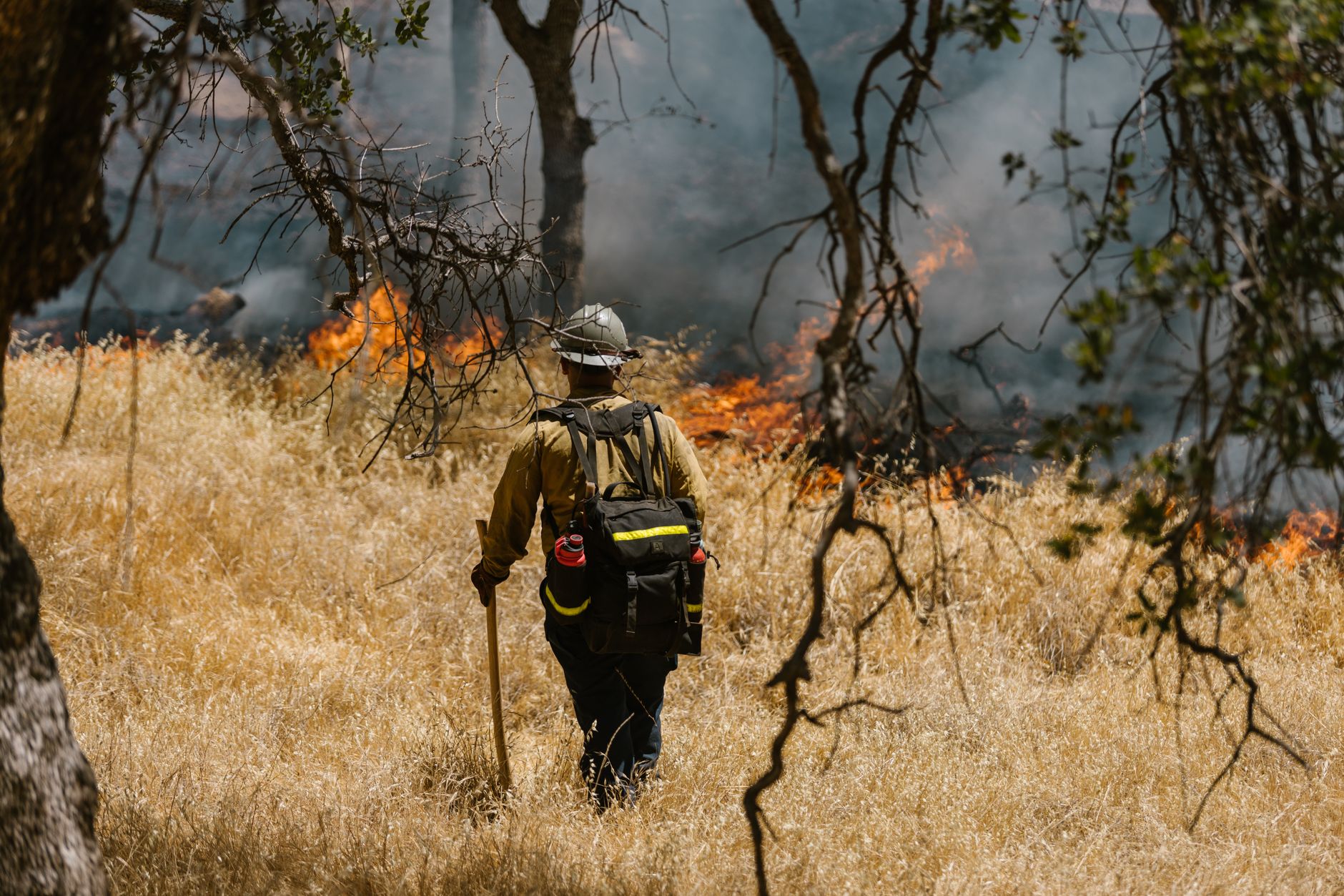 Alberta charges Forestry Ministry over wildland firefighter's 2024 death in Jasper