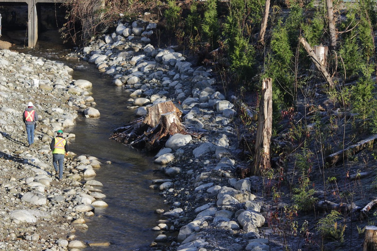 Industrial-strength chlorine spill kills roughly 2,000 fish at Coquitlam hatchery