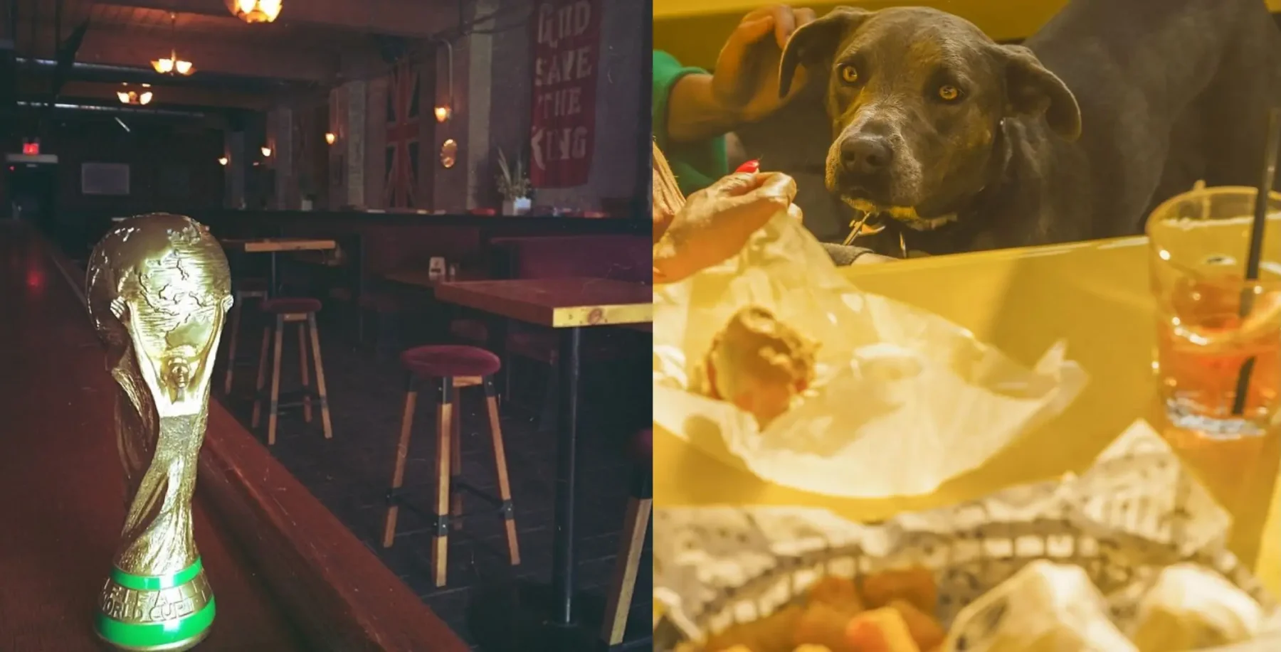 7 Toronto Patios Welcome Dogs During World Cup Season