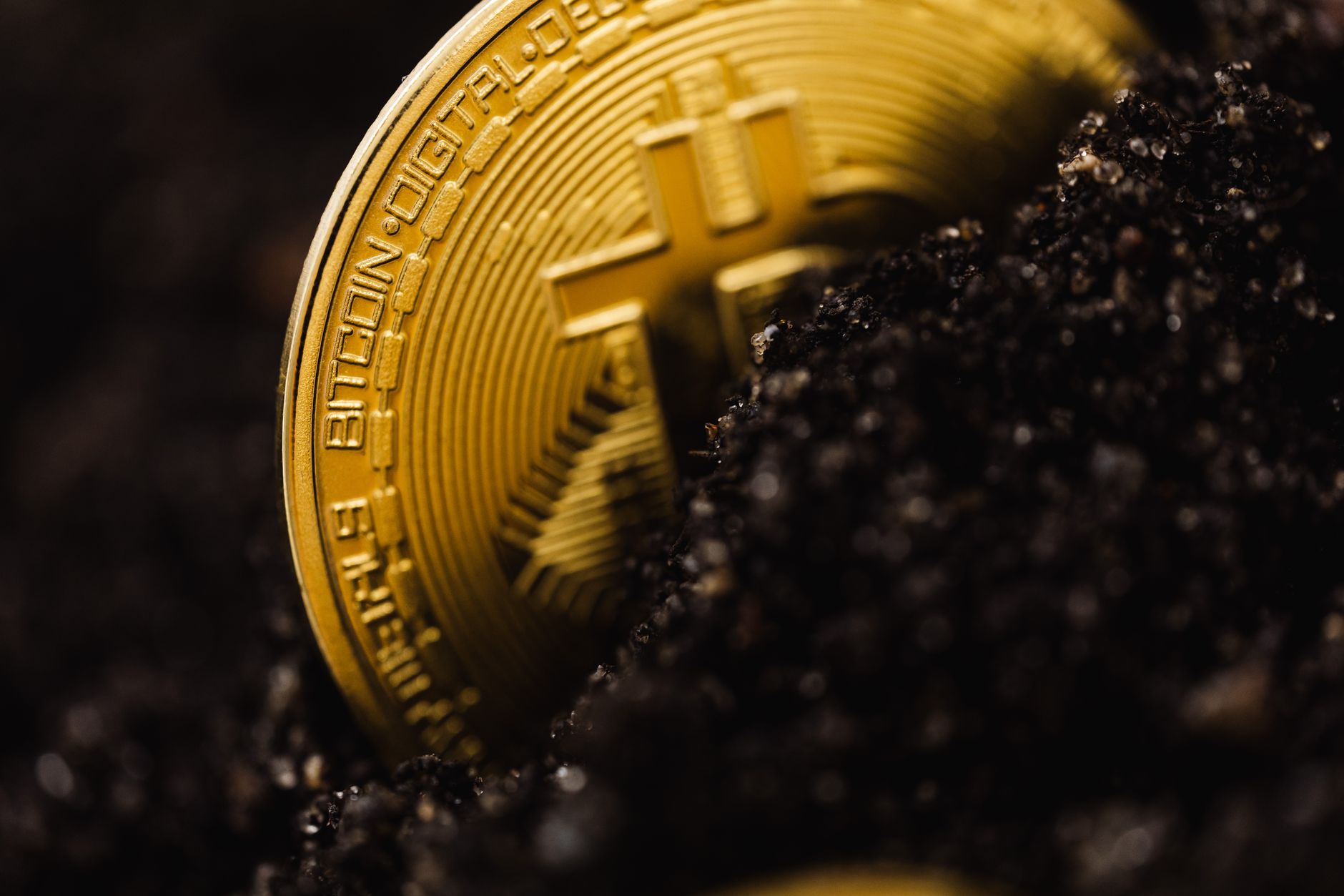 Developer testifies 'Crypto King' took $4.5M in investments but spent it on luxury, not trades