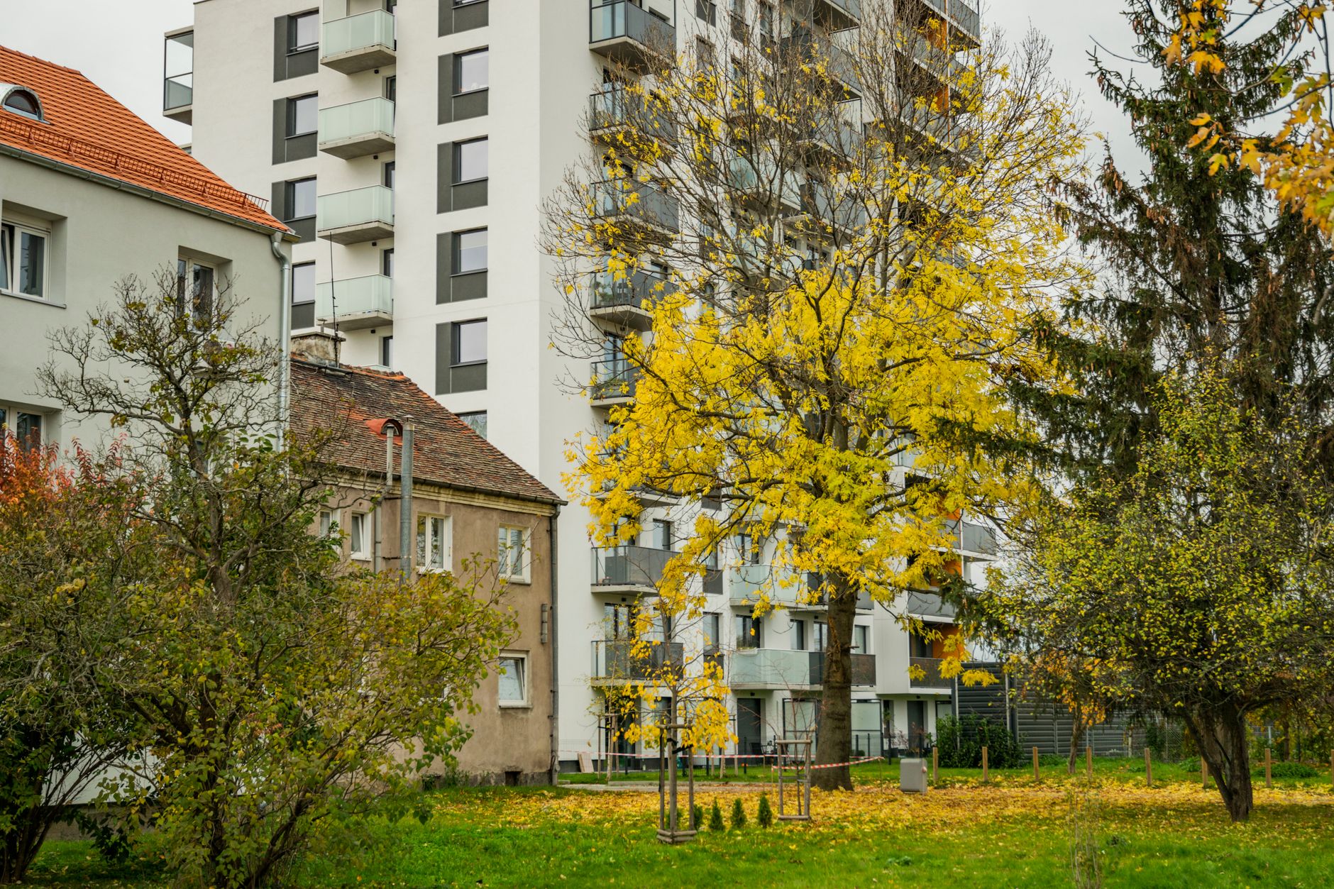 37% of Toronto residents considering leaving within 5 years, citing affordability