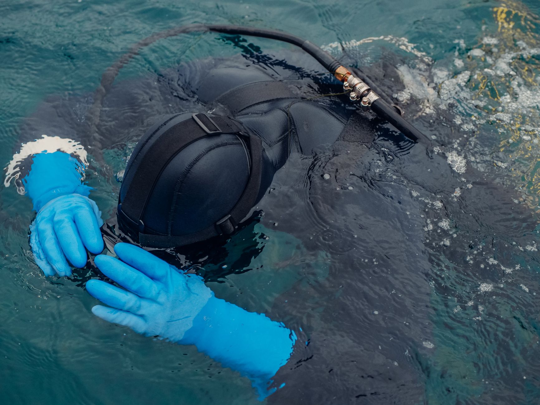 Canada must close submersible regulation loopholes, expert warns