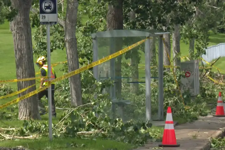 Storm Hammers Southern Alberta With Gusts Over 135 km/h