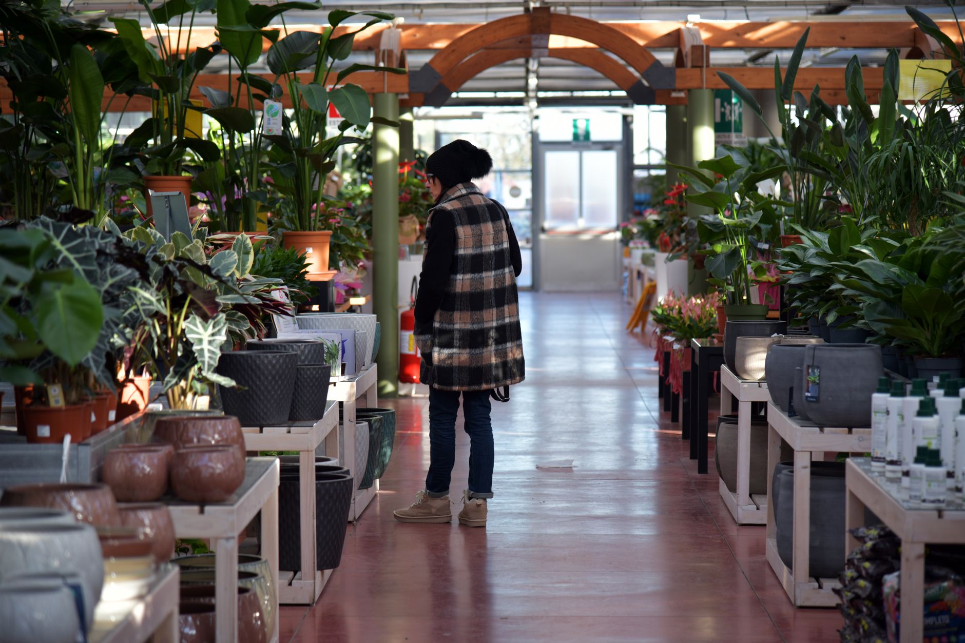 No Frills opens at Hullmark Centre where Whole Foods closed last year