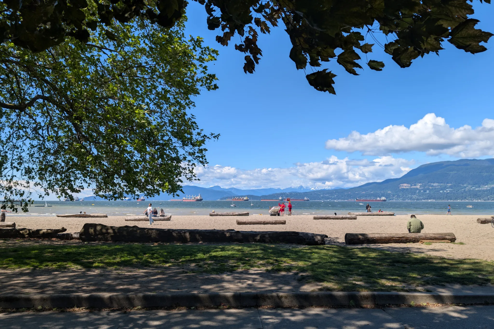 Woman assaulted with wood at Kits Beach; suspect charged