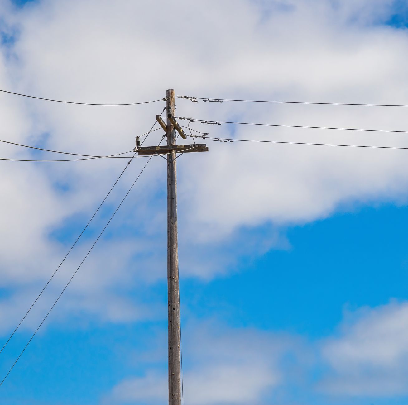 Carney government's $3.9B transmission line deal threatens Canada's biodiversity commitments