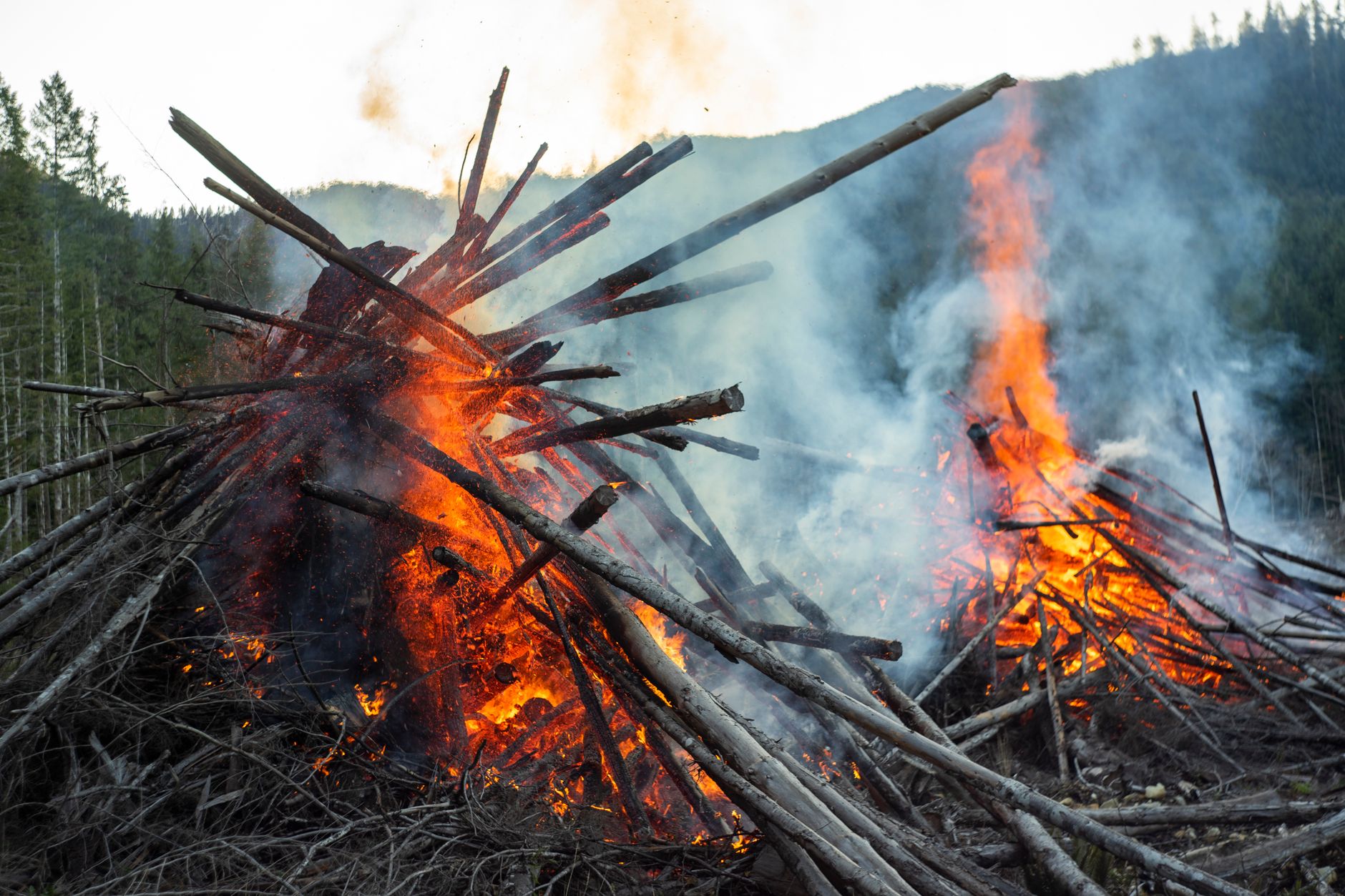 Out-of-control wildfire spreads near Port Moody as crews battle Belcarra blaze