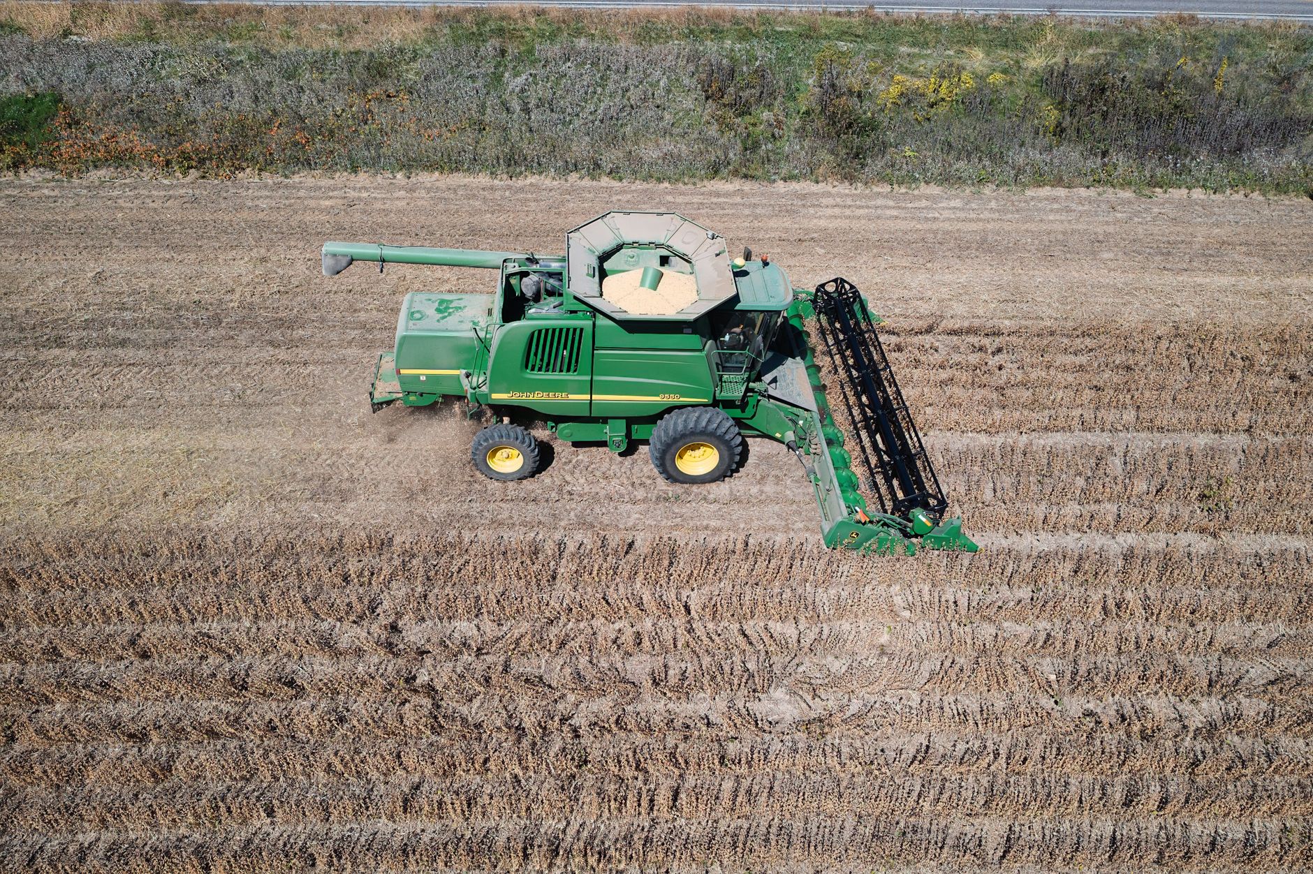 Art of the Harvest celebrates Airdrie agriculture traditions for 14th year