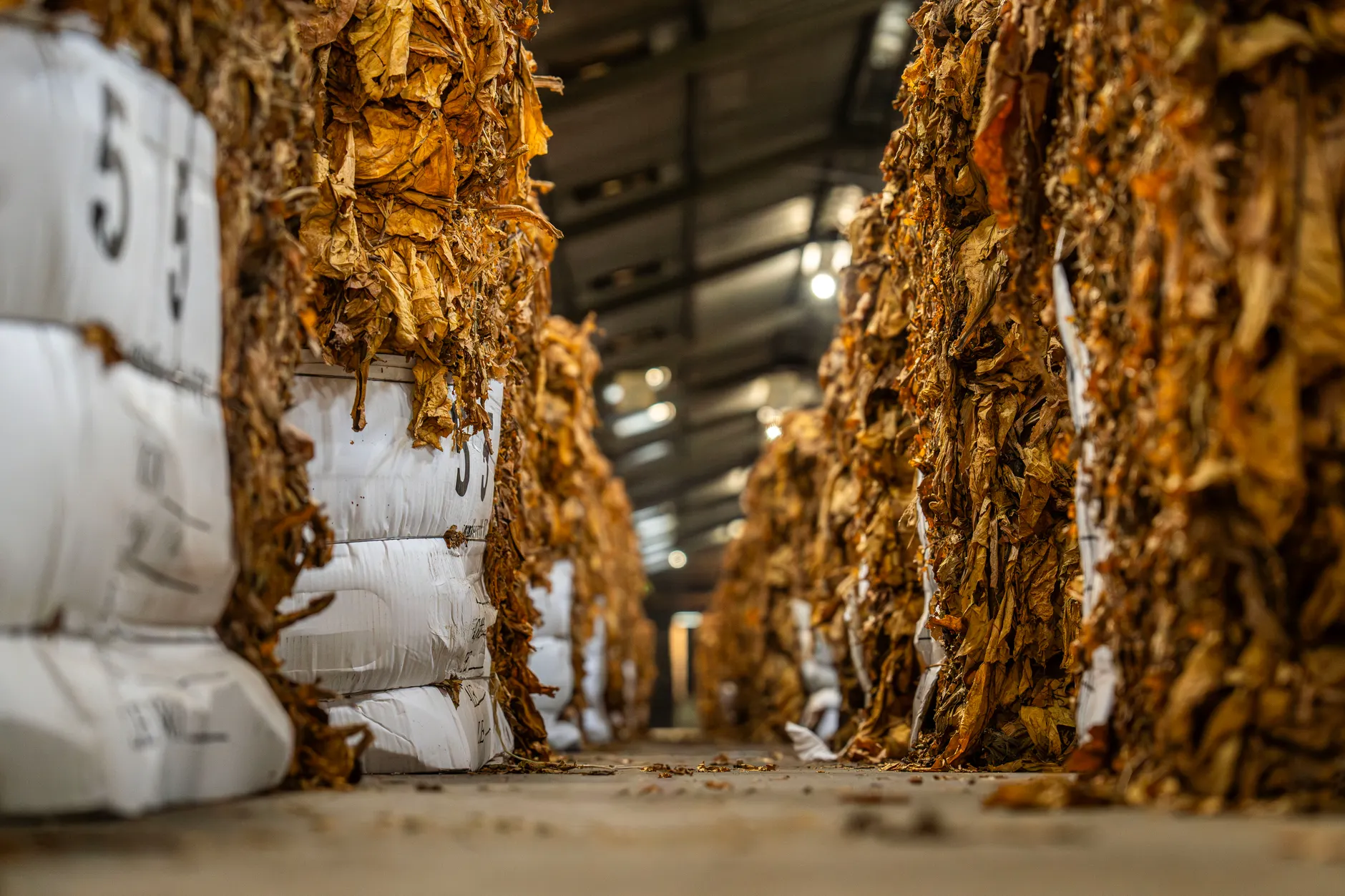U.S. tariffs push Canadian wool producers to shift supply chains overseas