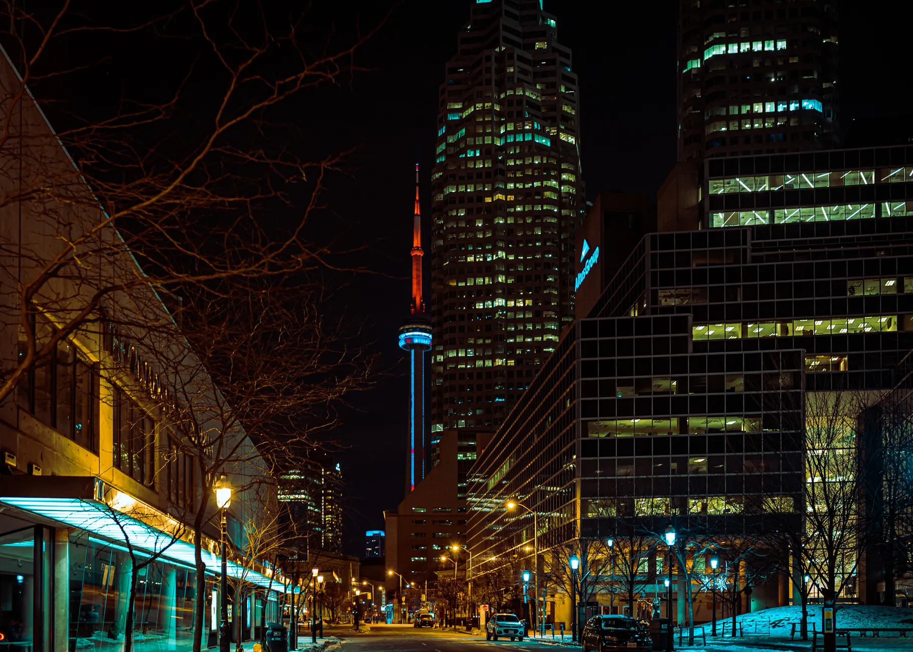 Killarney family's seven-metre Lego tower has drawn crowds and bylaw approval—for now