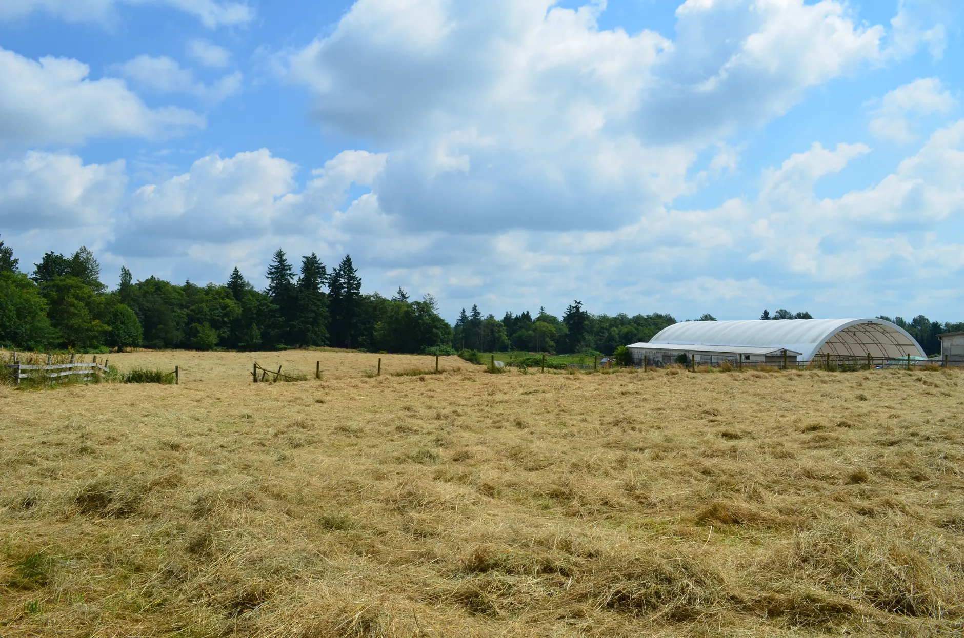 Southern Alberta farmers call heavy rain a 'million-dollar' relief